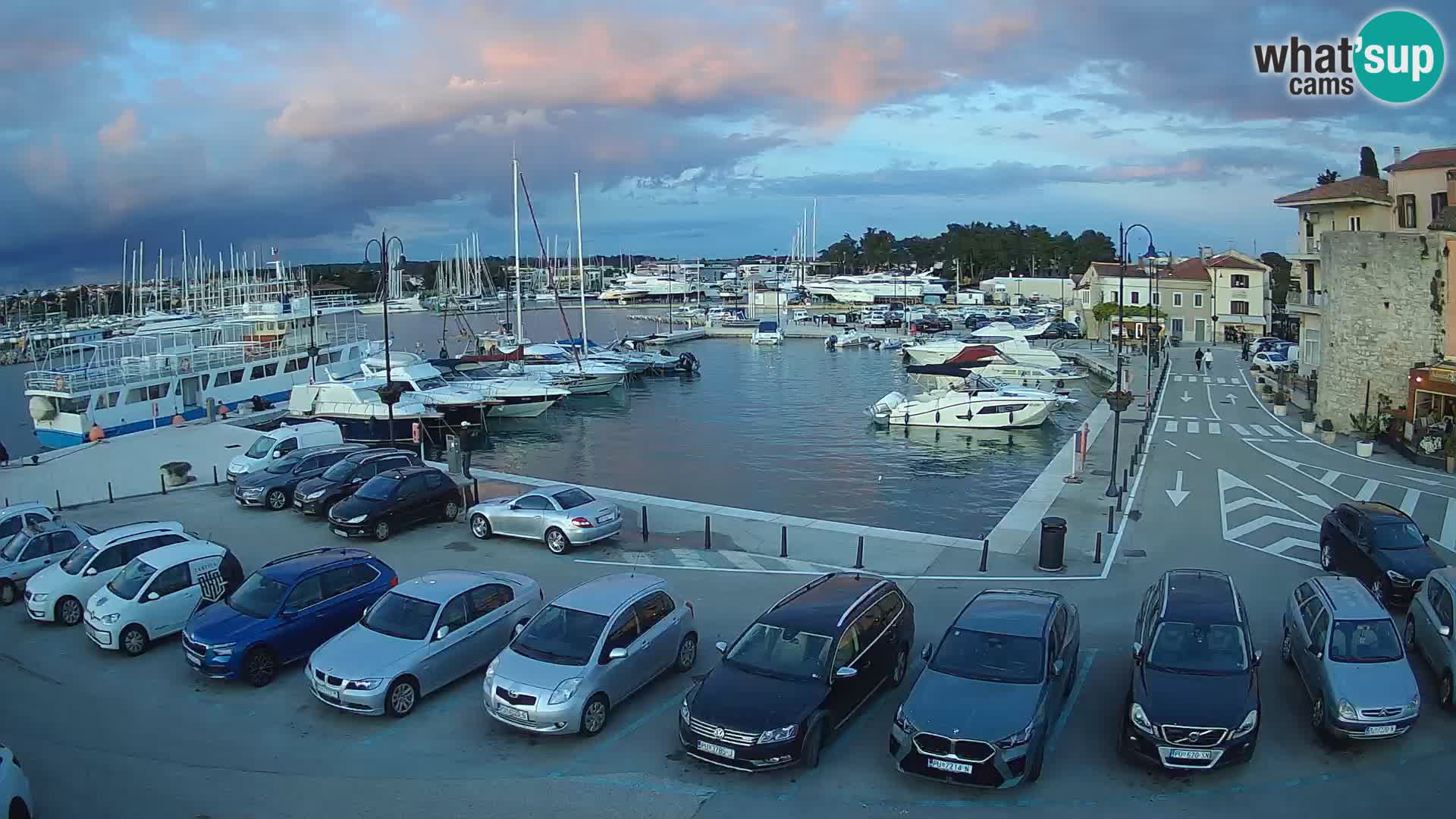 Novigrad | Porporela marina
