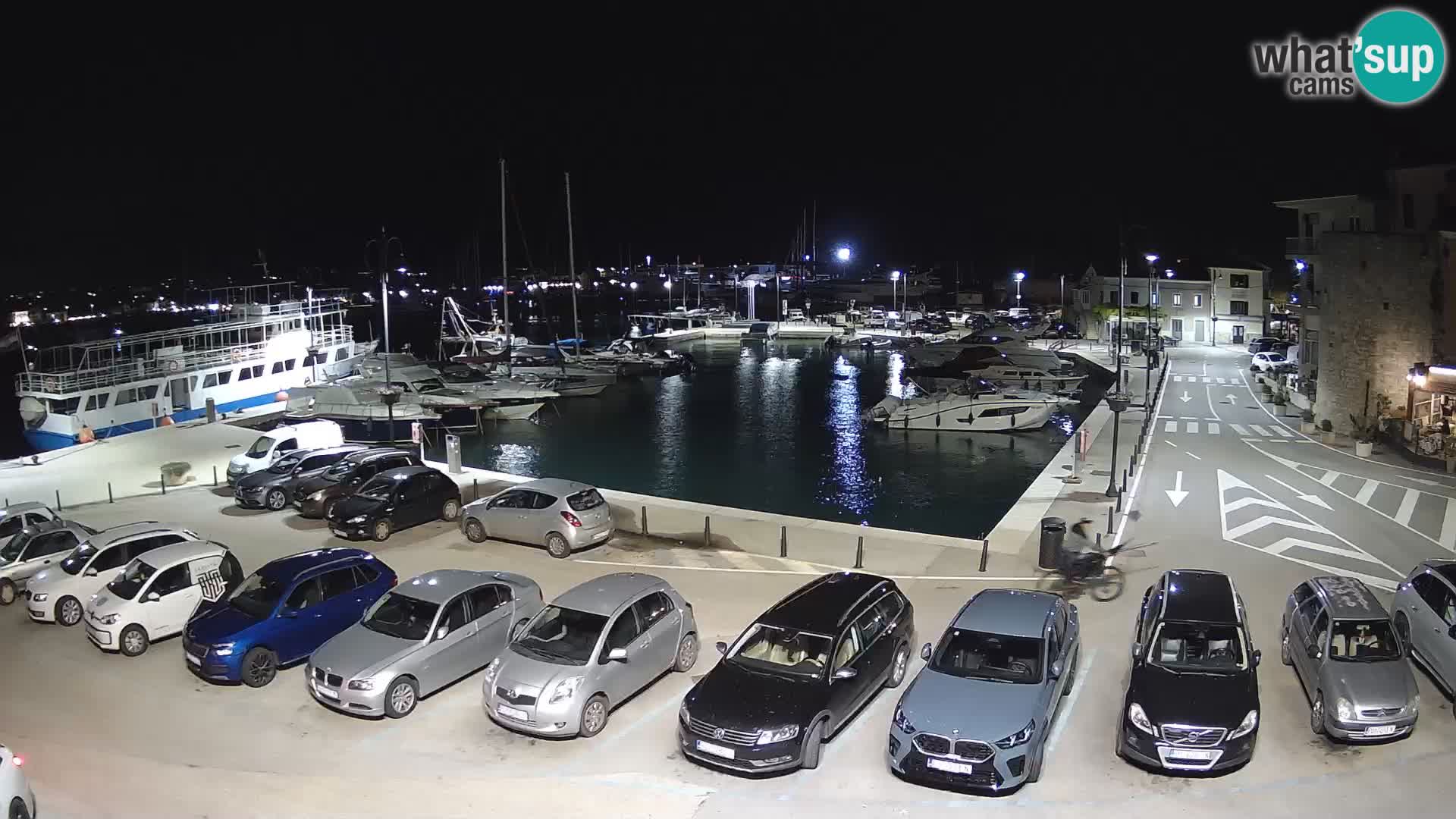 Novigrad | Porporela marina