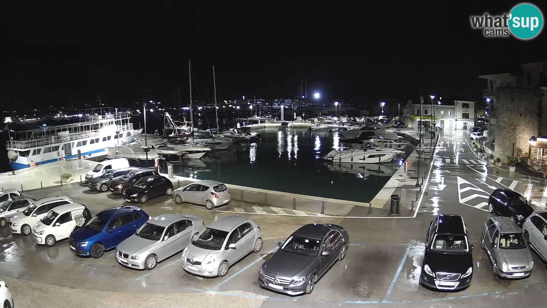 Novigrad | Porporela marina