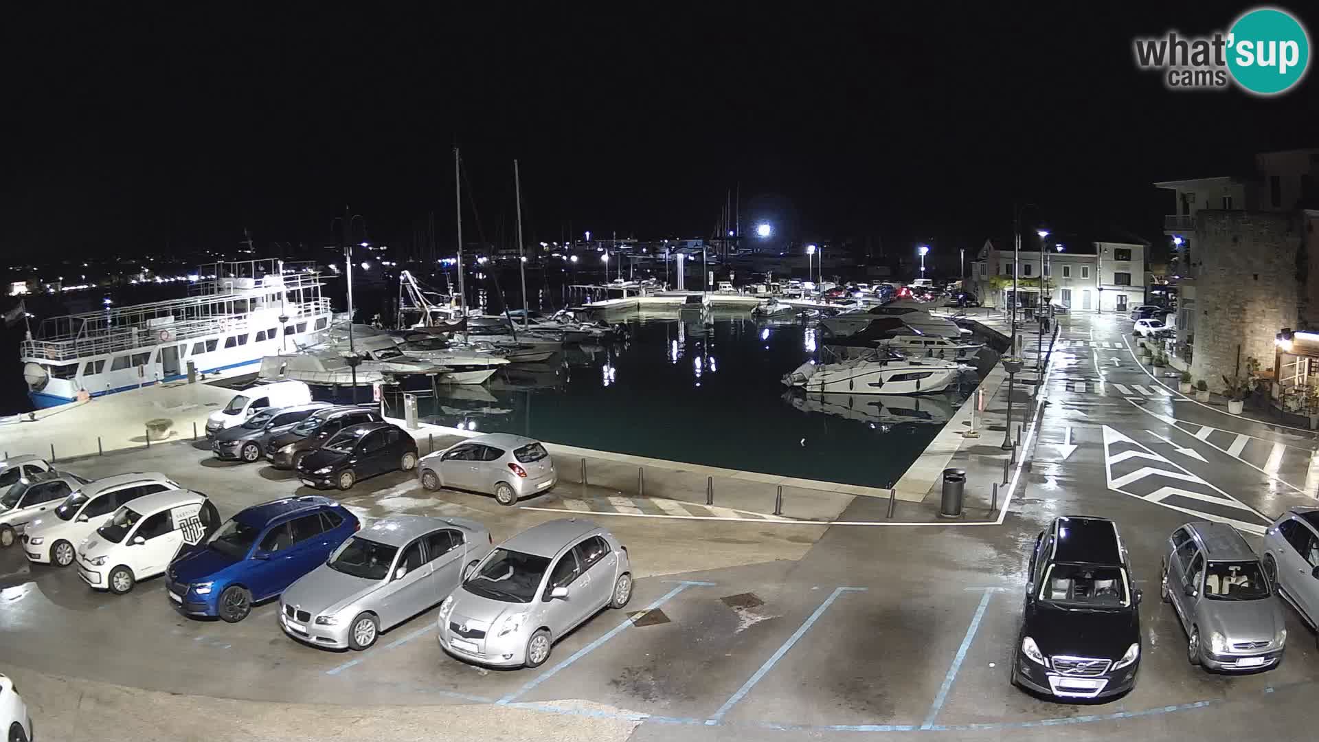 Novigrad | Porporela marina