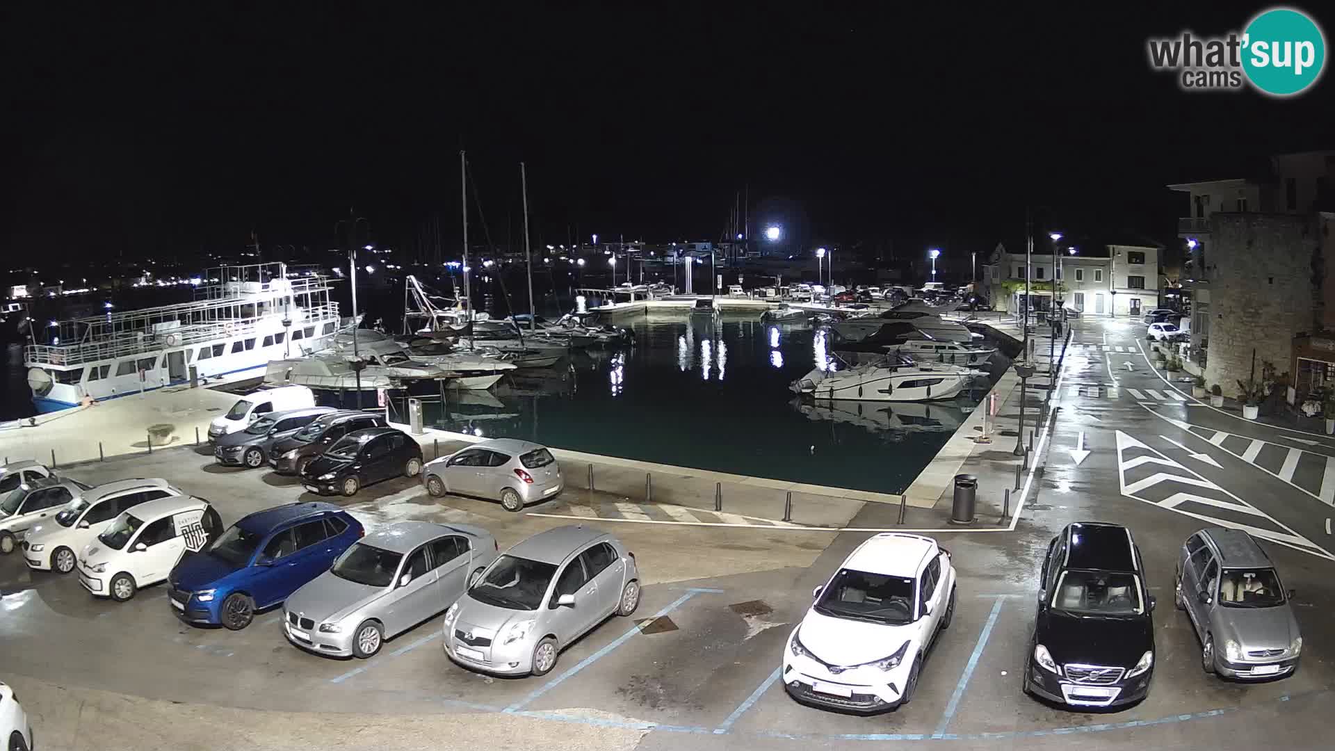 Novigrad | Porporela marina