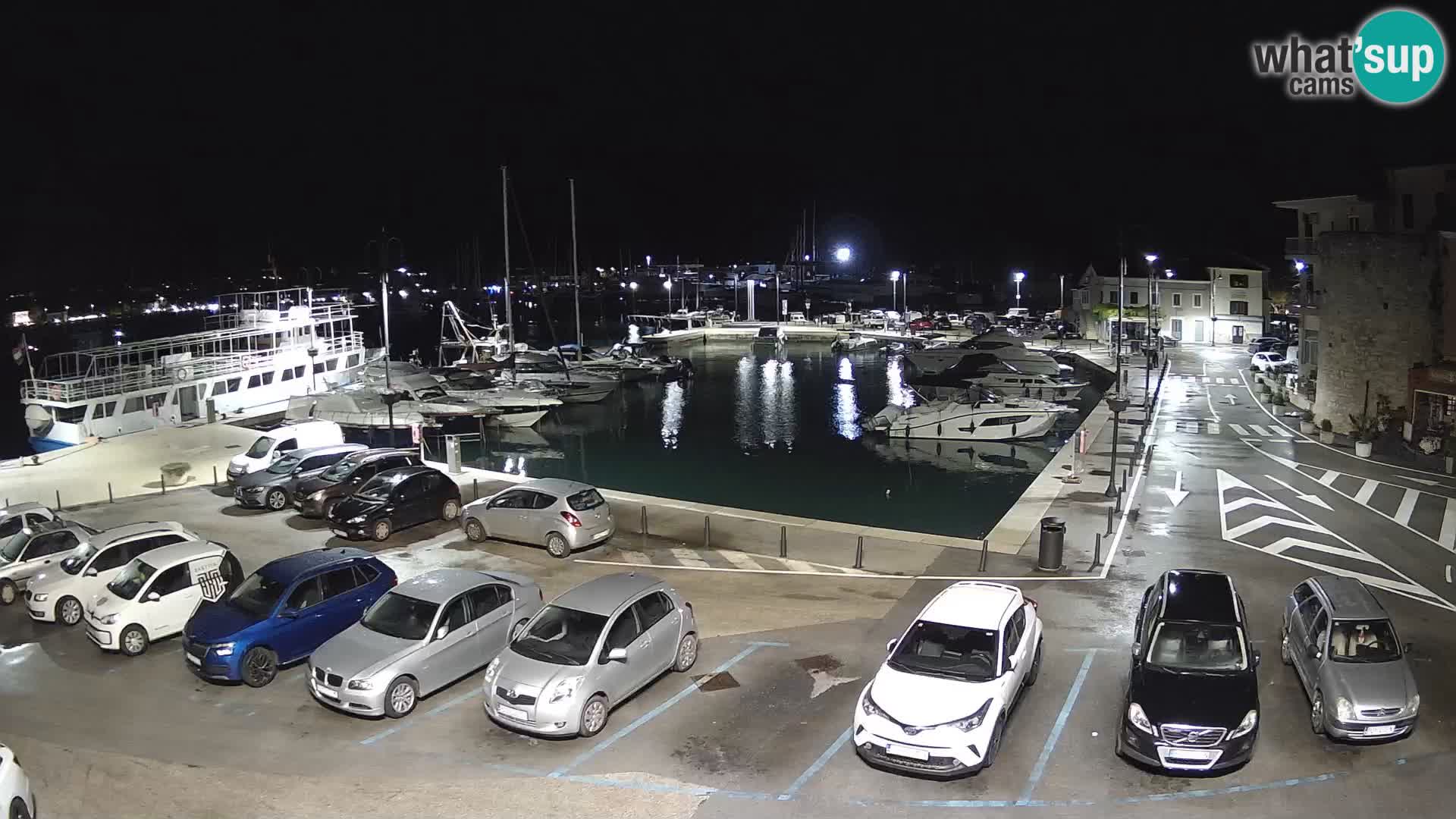 Novigrad | Porporela marina