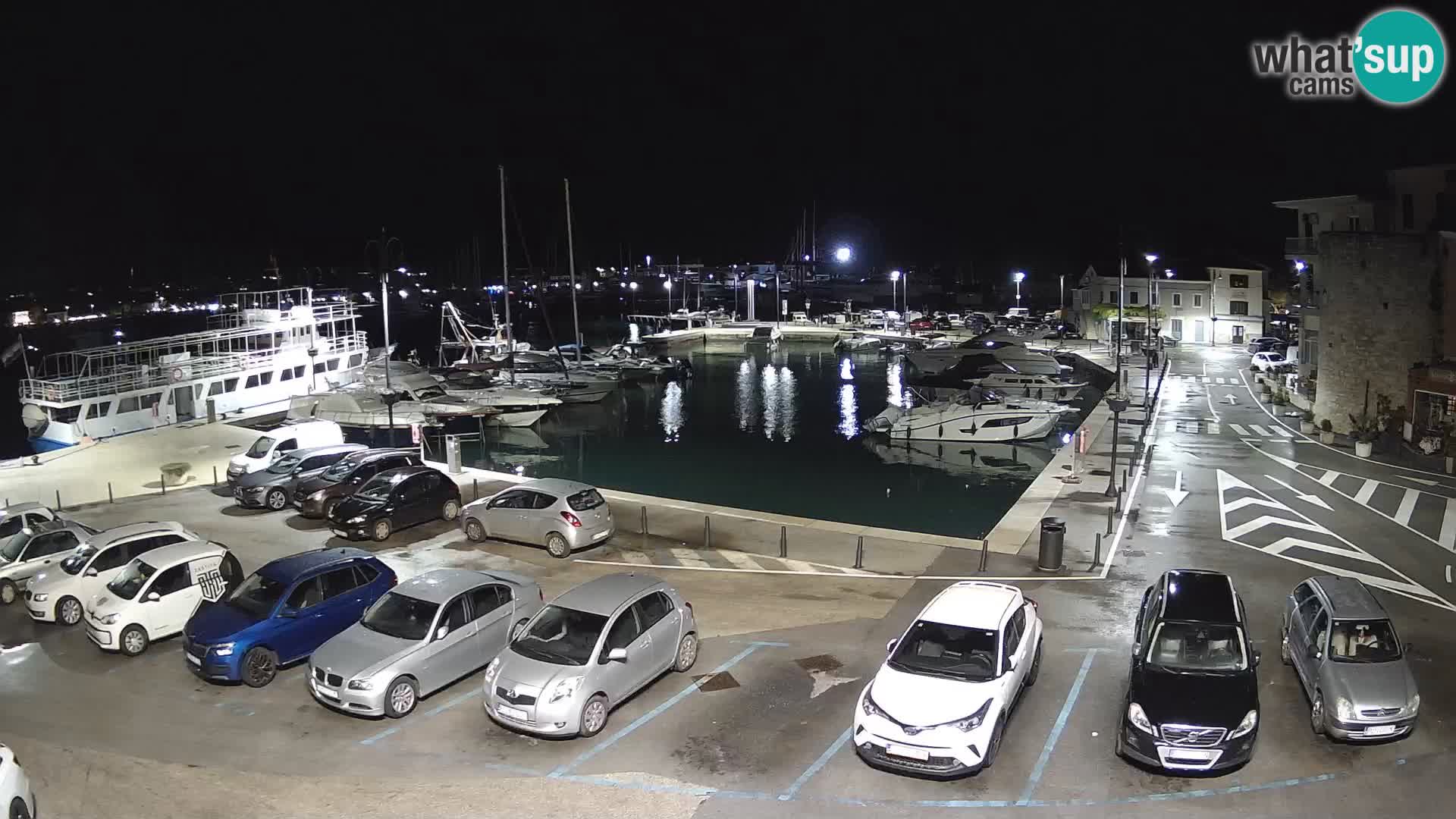 Novigrad | Porporela marina