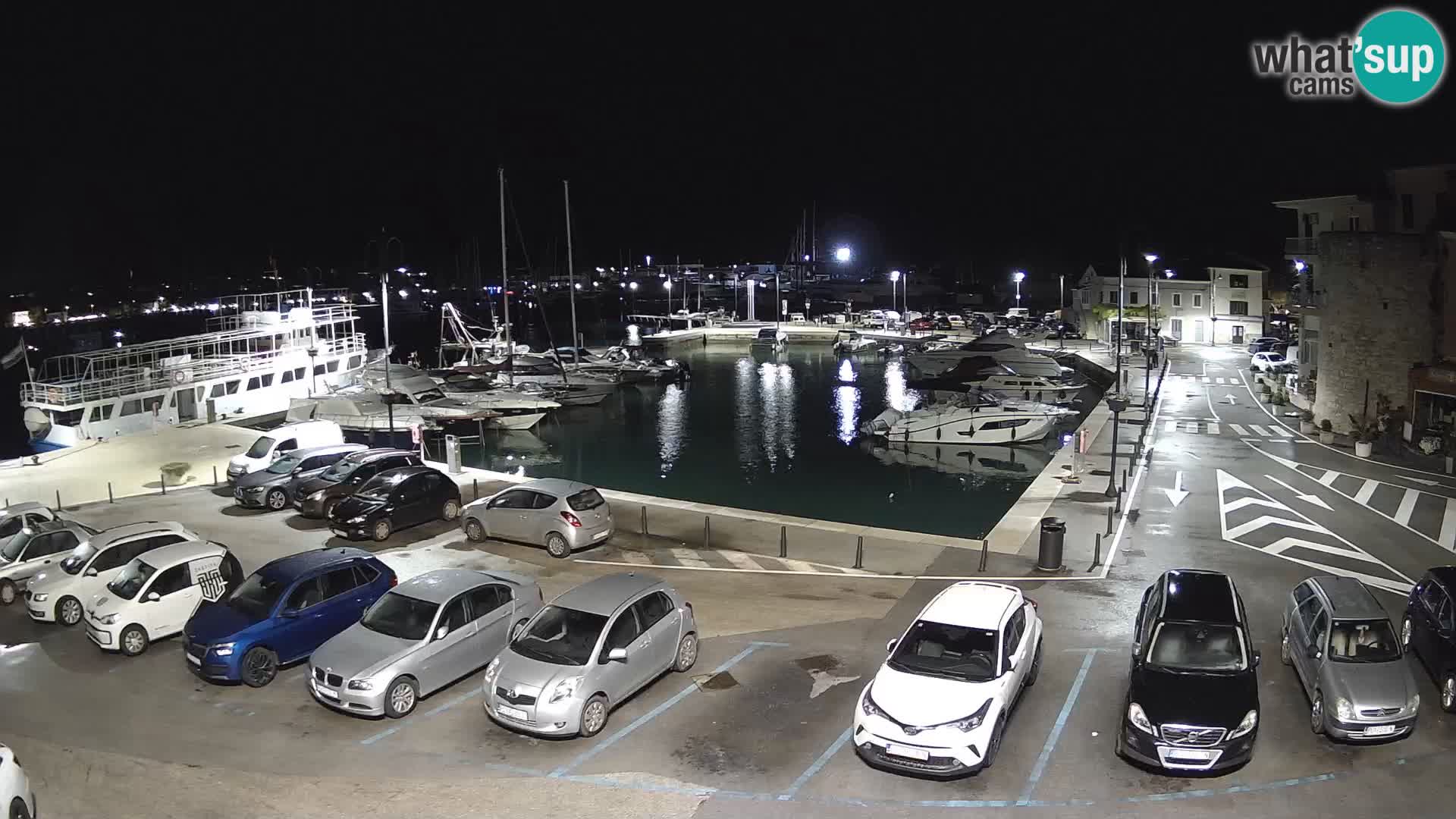 Novigrad | Porporela marina