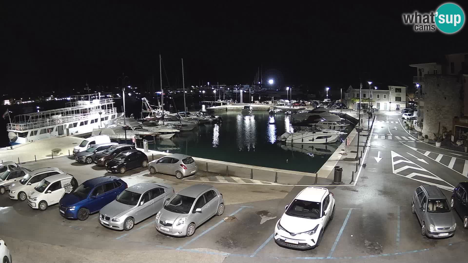Novigrad | Porporela marina