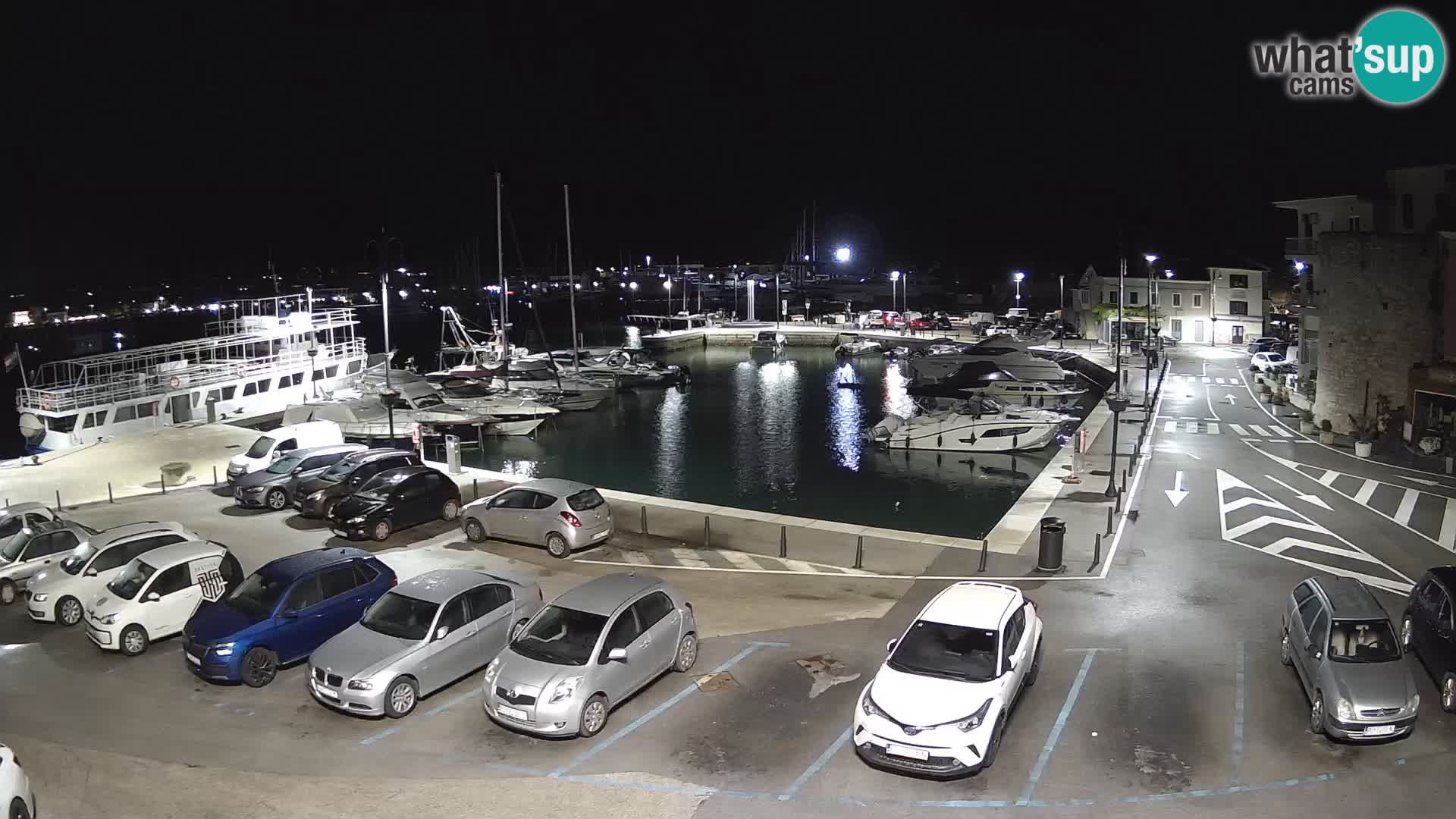 Novigrad | Porporela marina
