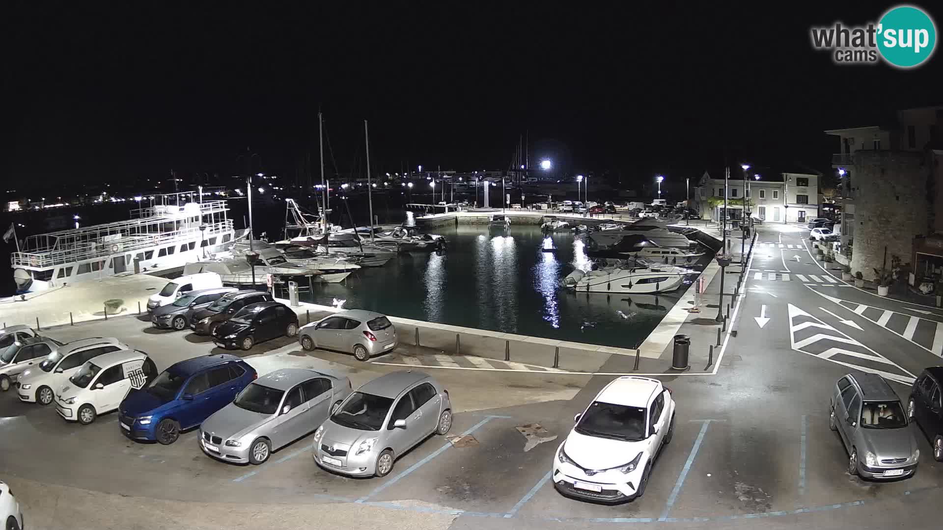 Novigrad | Porporela marina