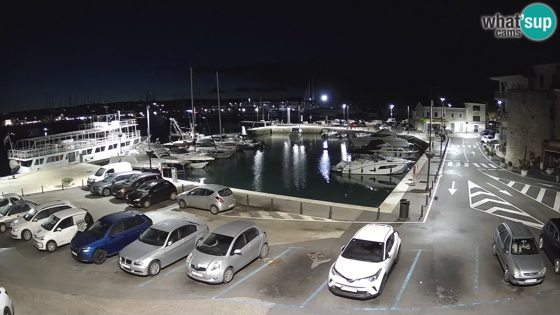 Novigrad | Porporela marina