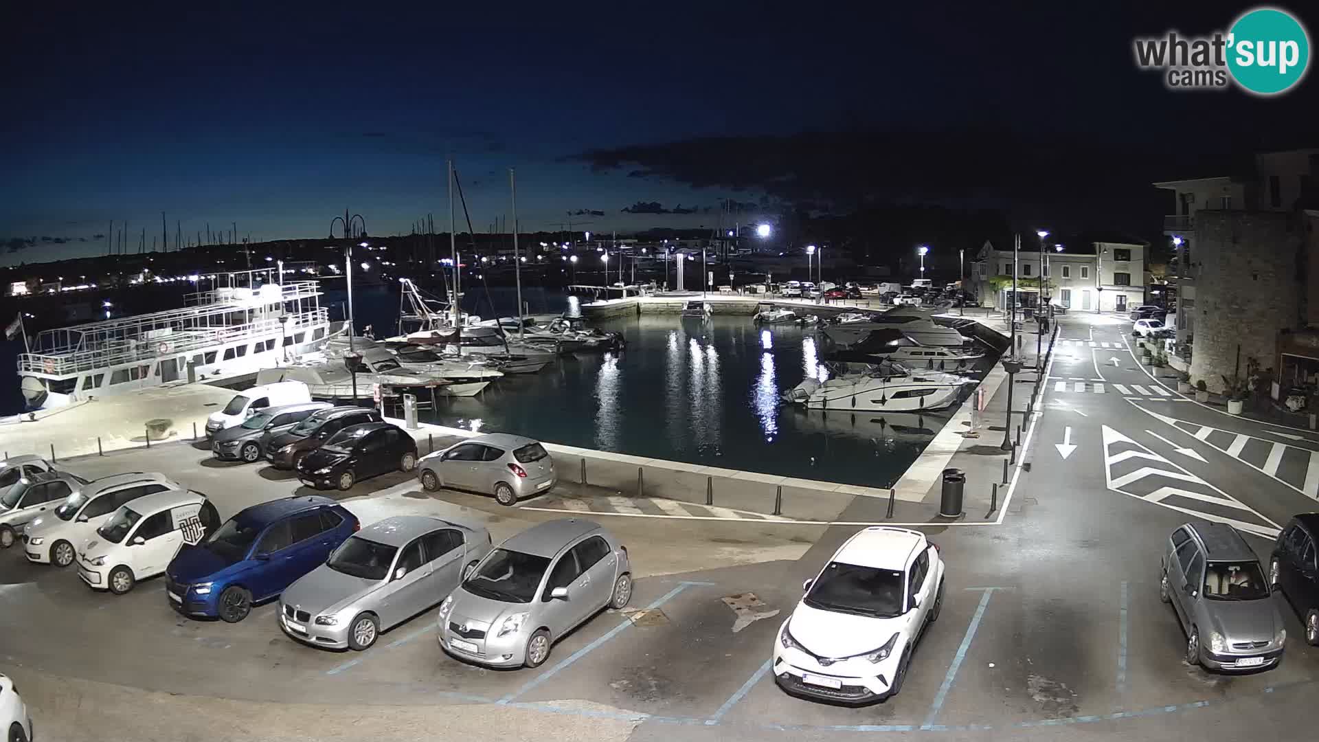 Novigrad | Porporela marina