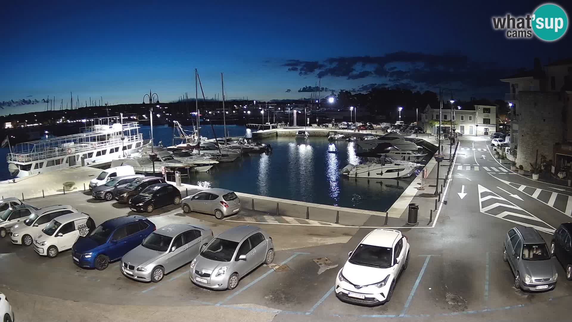 Novigrad | Porporela marina