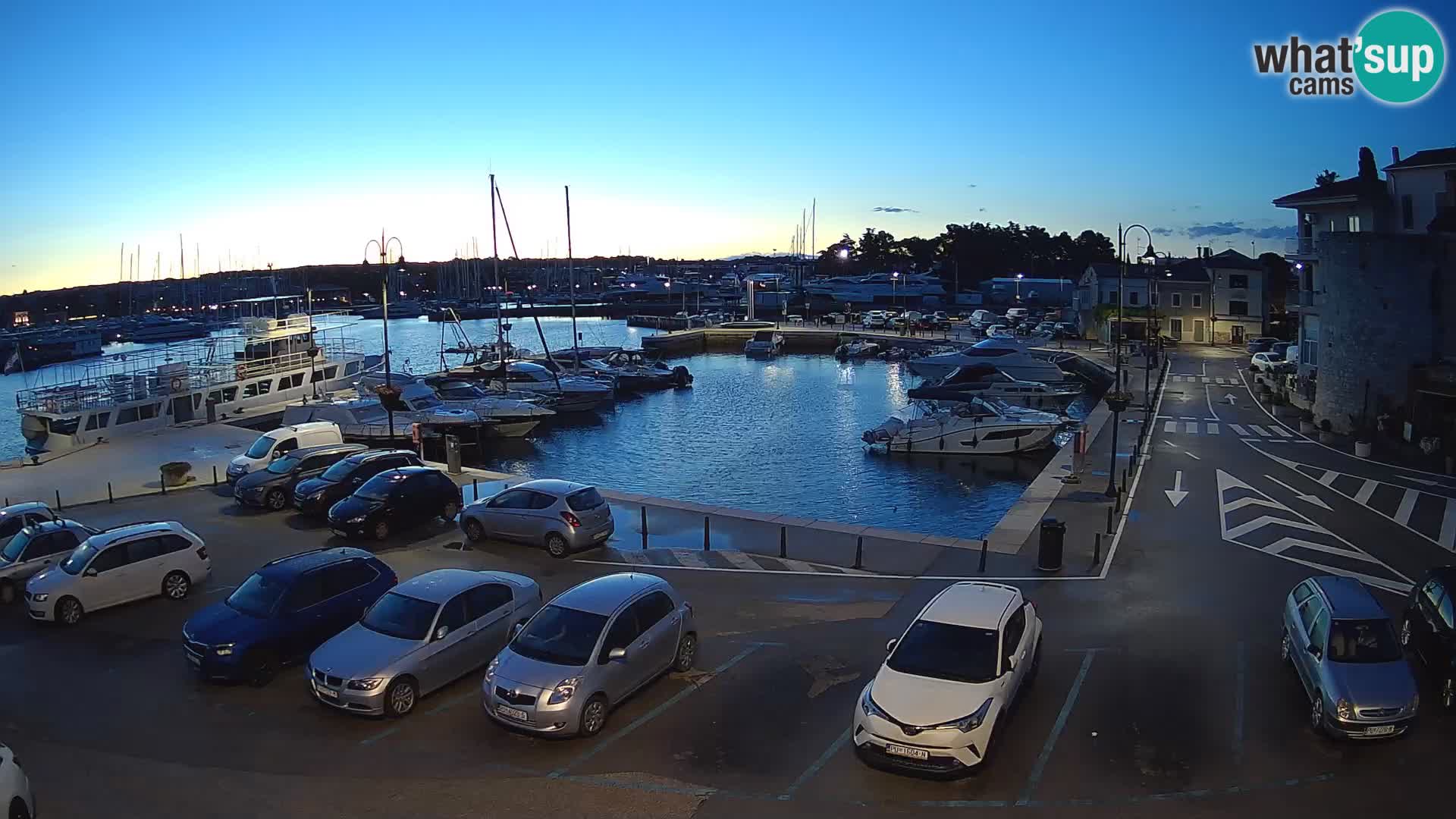 Novigrad | Porporela marina