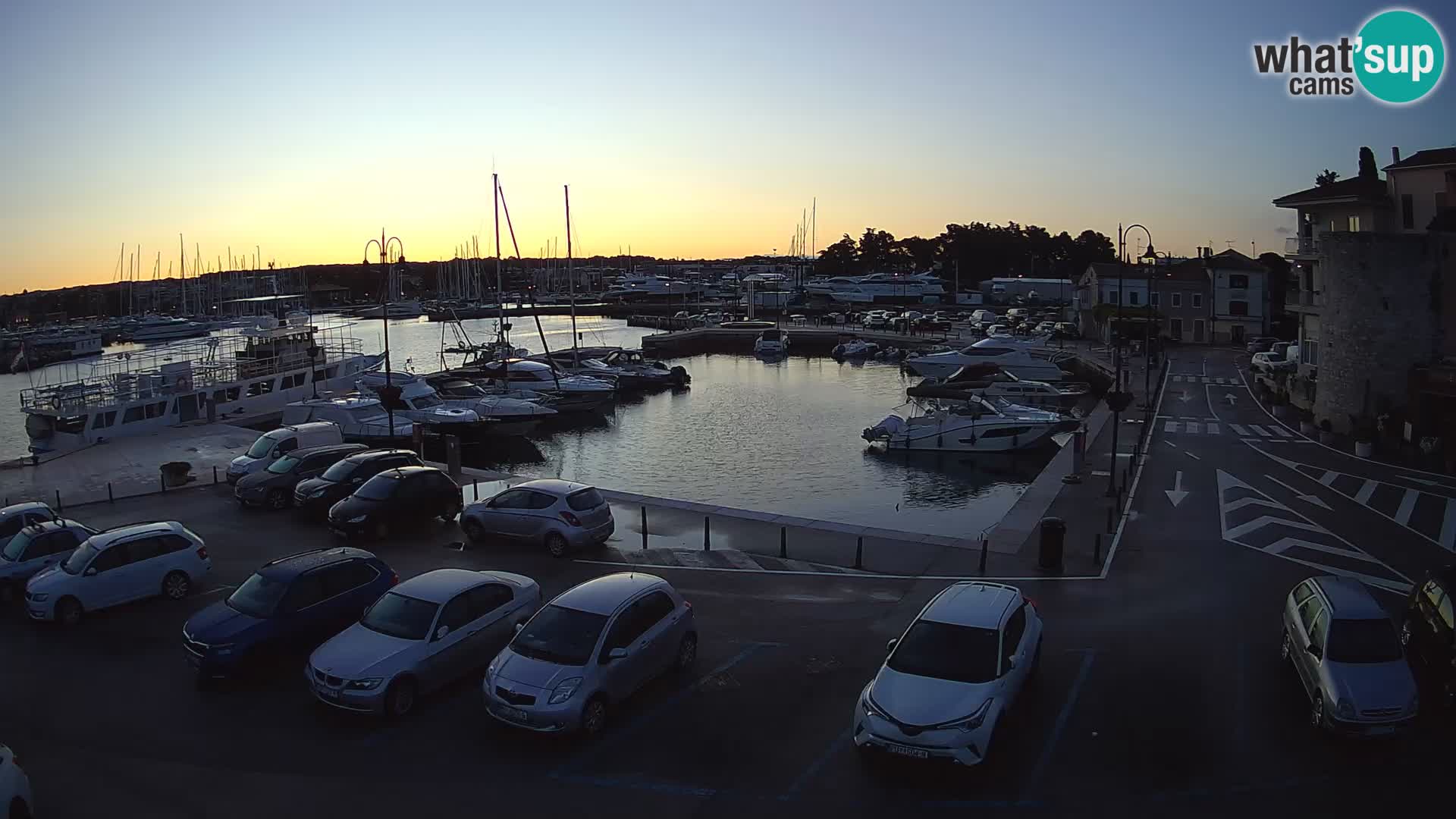 Novigrad | Porporela marina