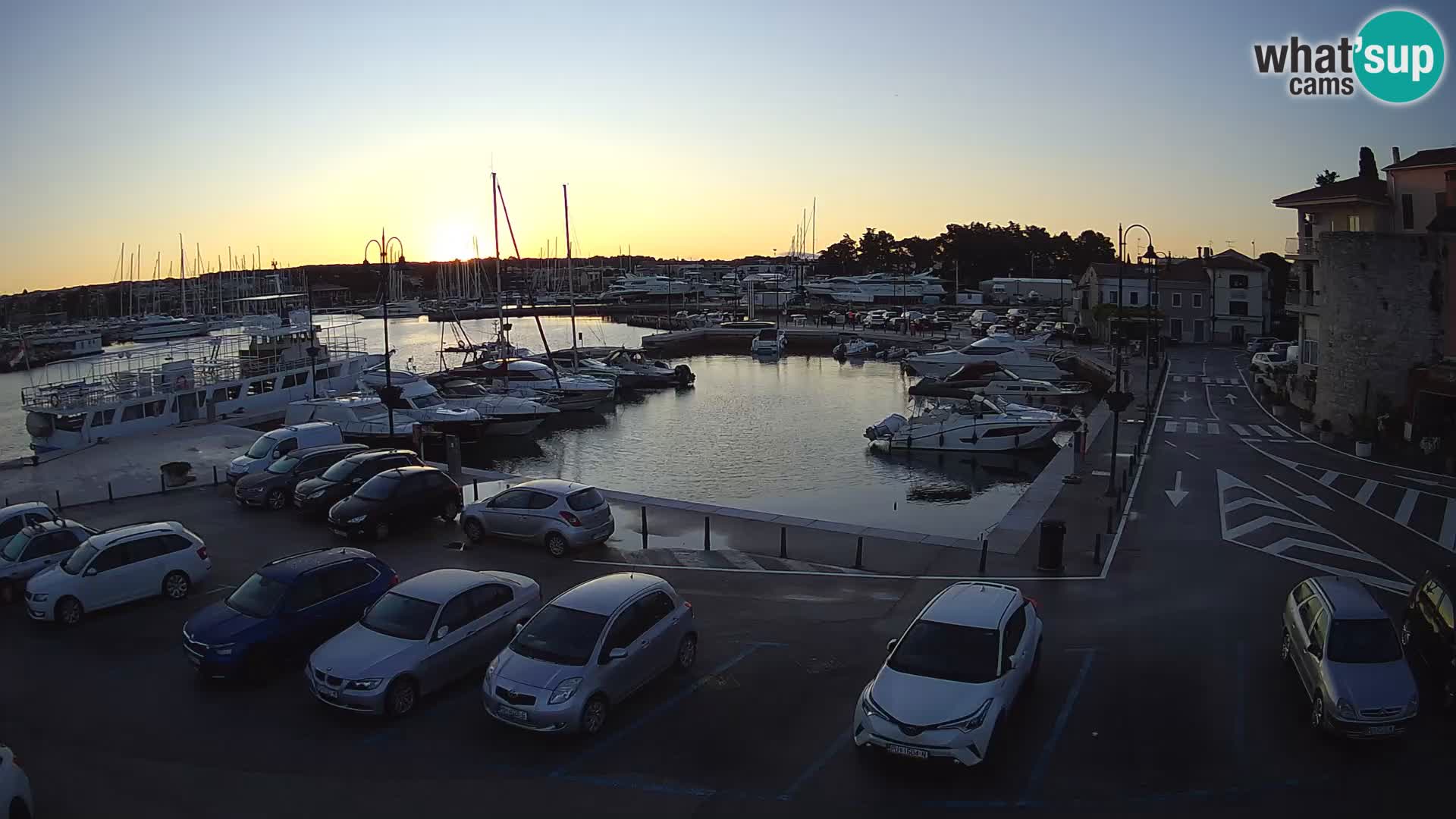 Novigrad | Porporela marina