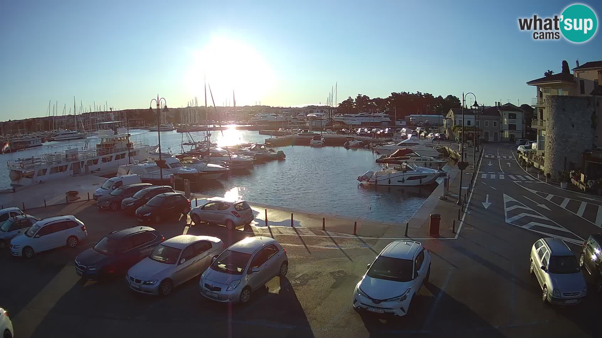 Novigrad | Porporela marina