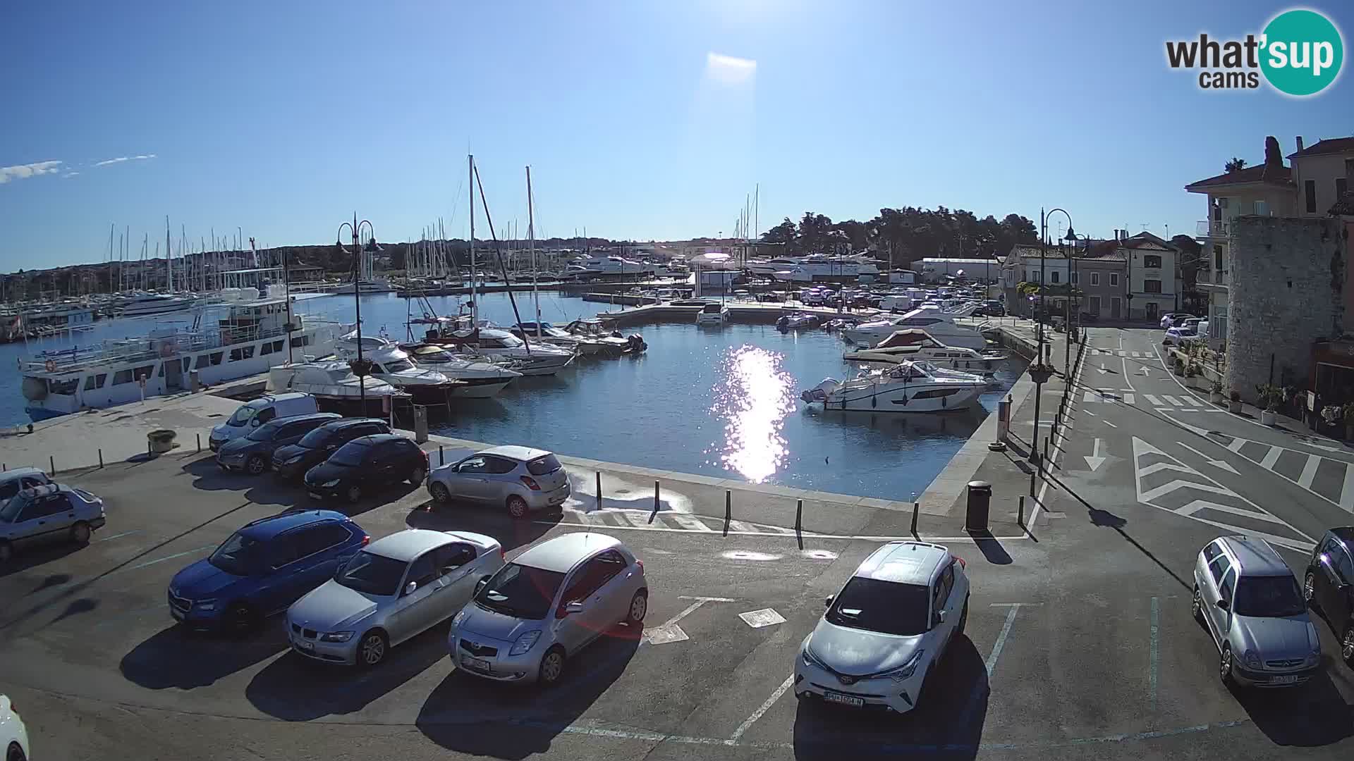 Novigrad | Porporela marina