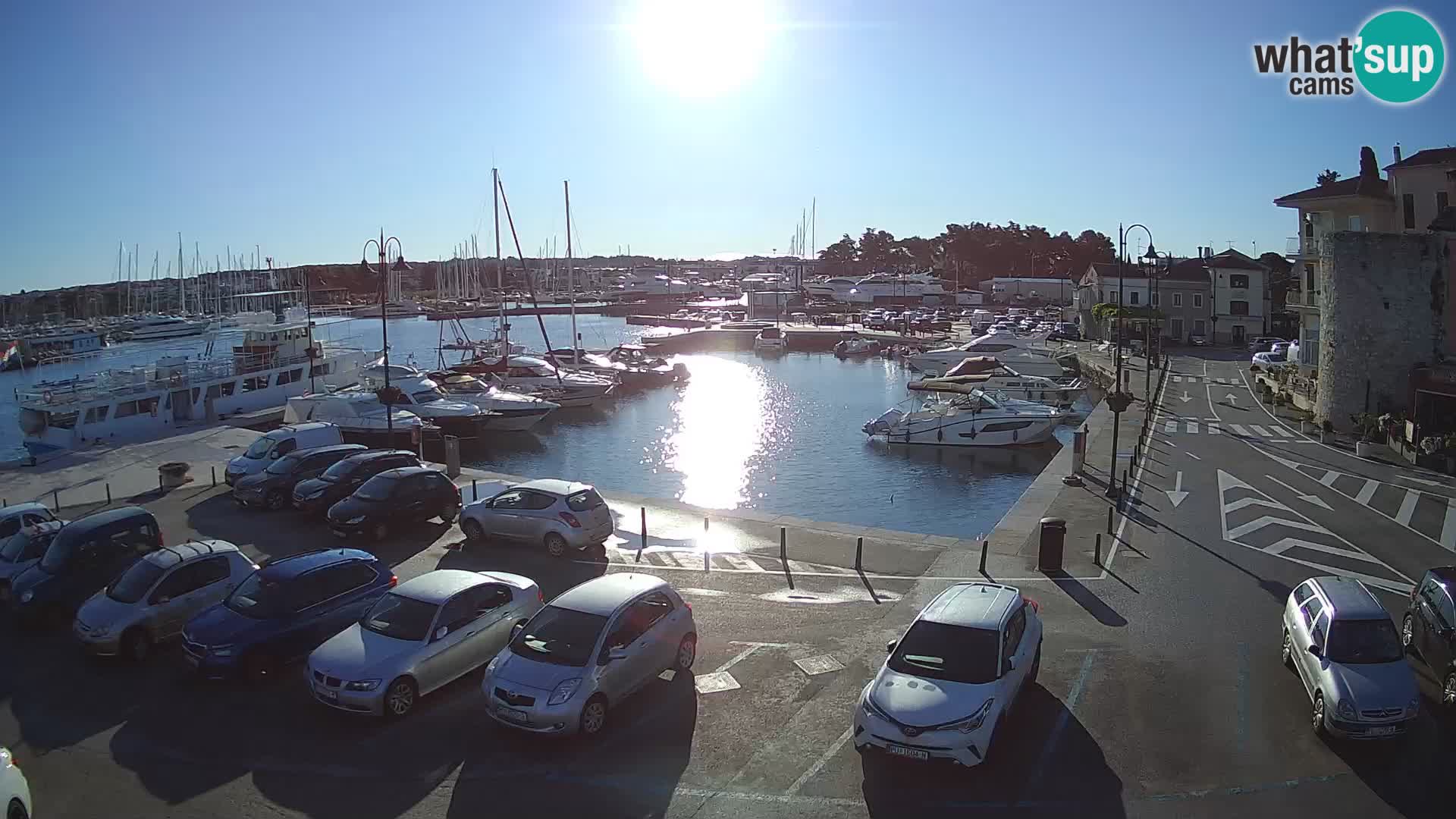 Novigrad | Porporela marina