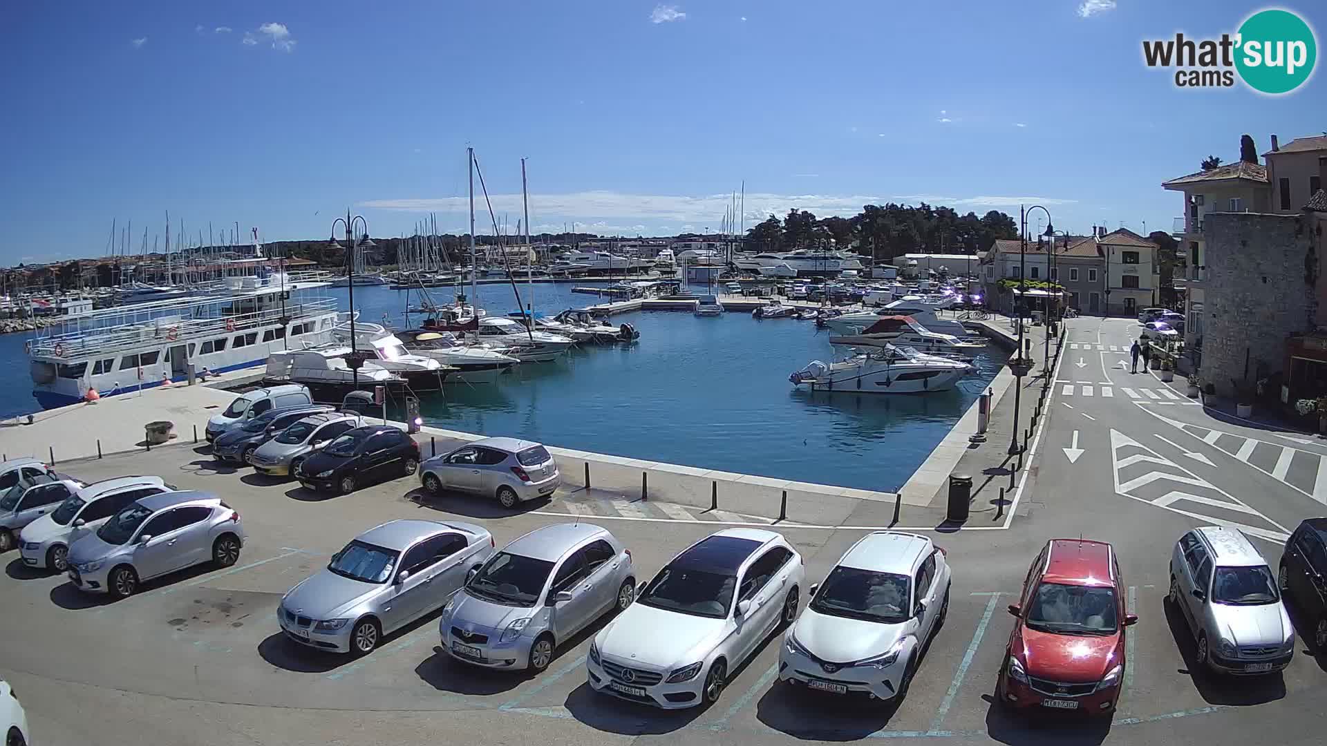 Novigrad | Porporela marina