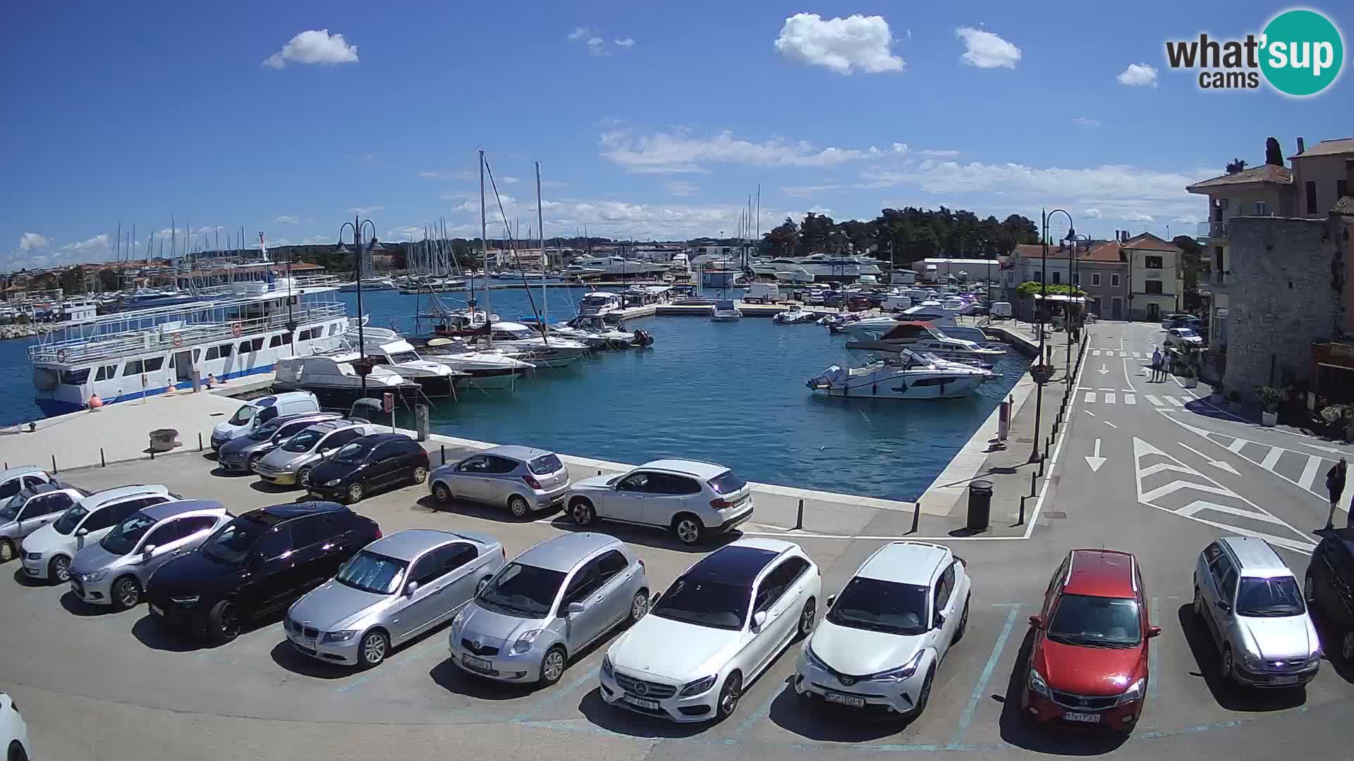 Novigrad | Porporela marina