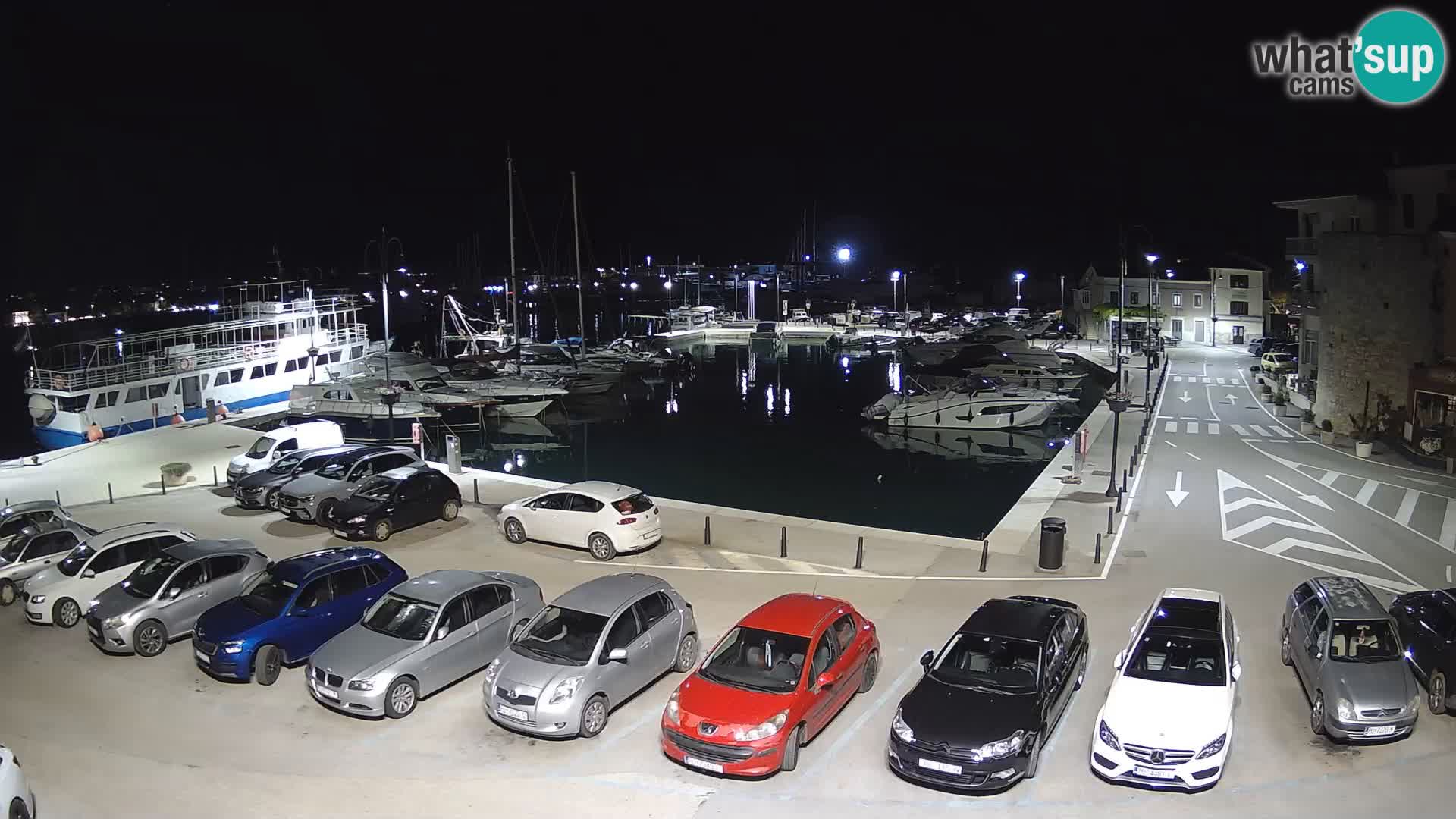 Novigrad | Porporela marina