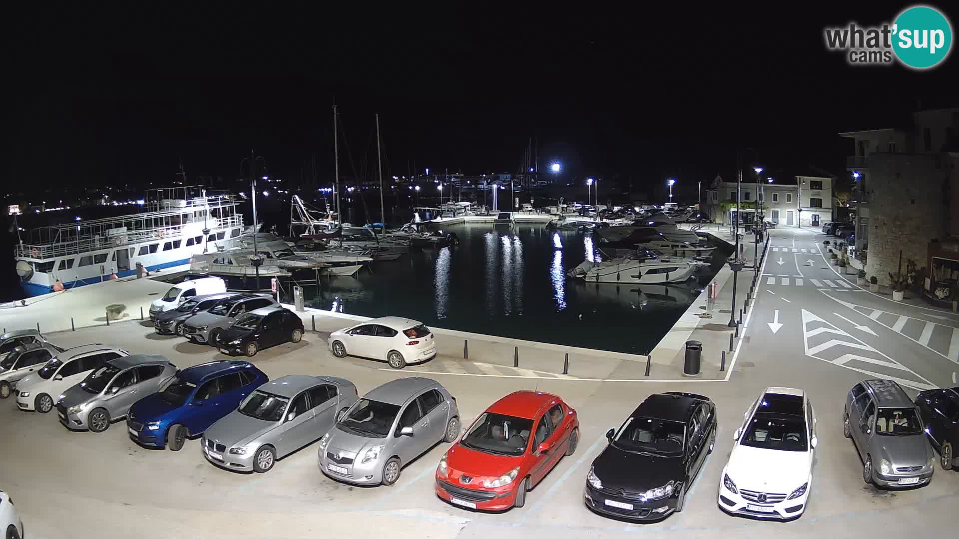 Novigrad | Porporela marina