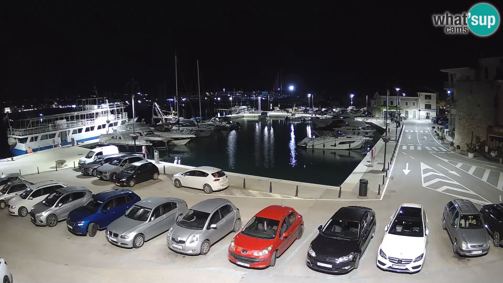 Novigrad | Porporela marina