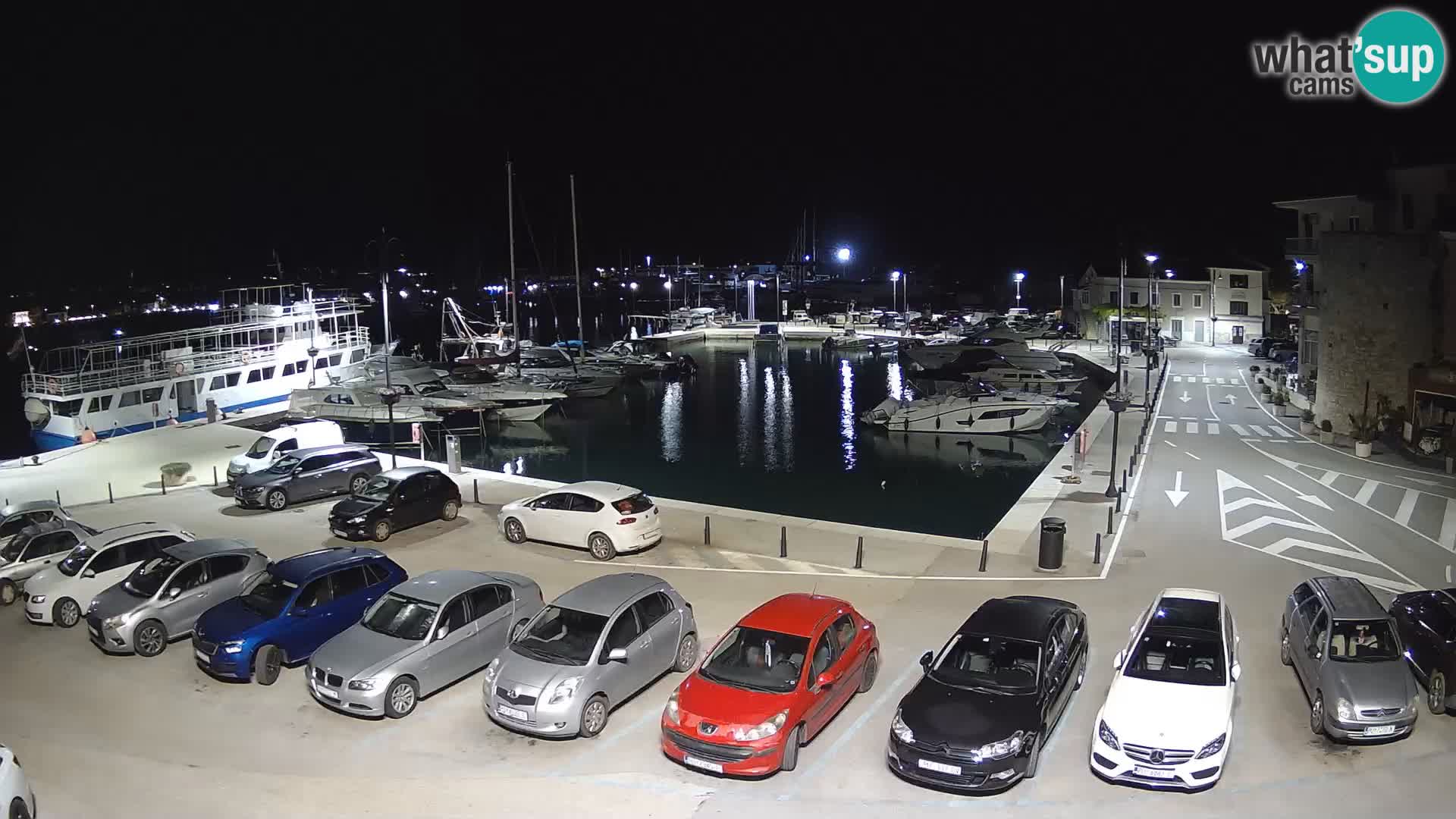 Novigrad | Porporela marina