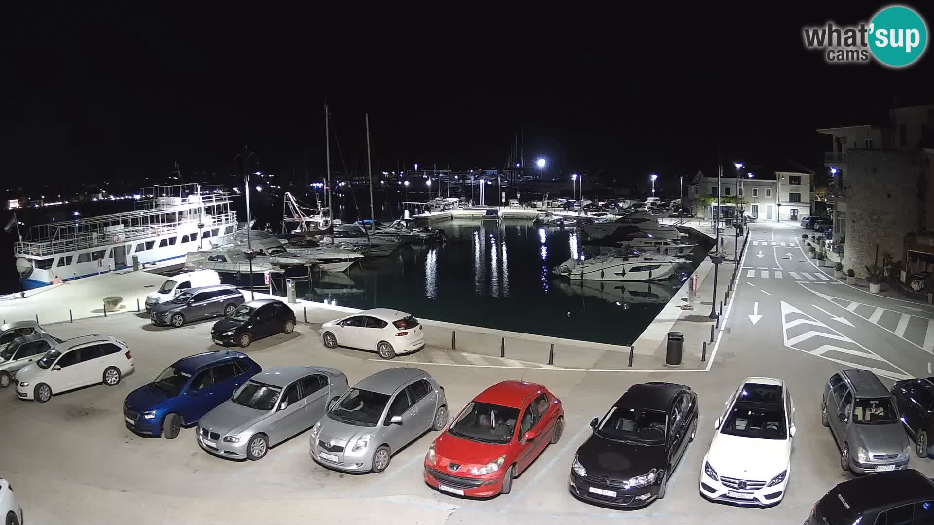Novigrad | Porporela marina
