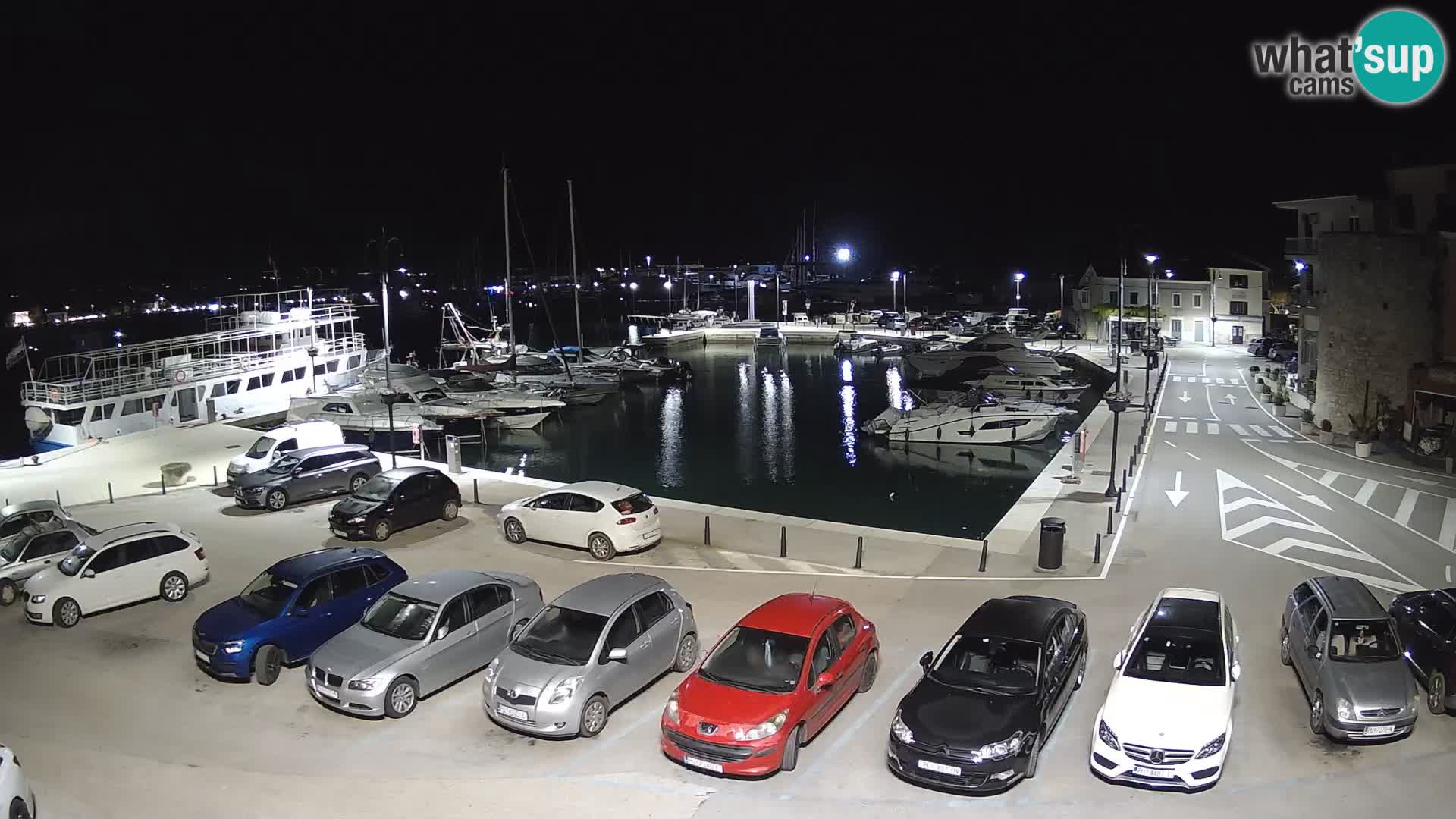 Novigrad | Porporela marina