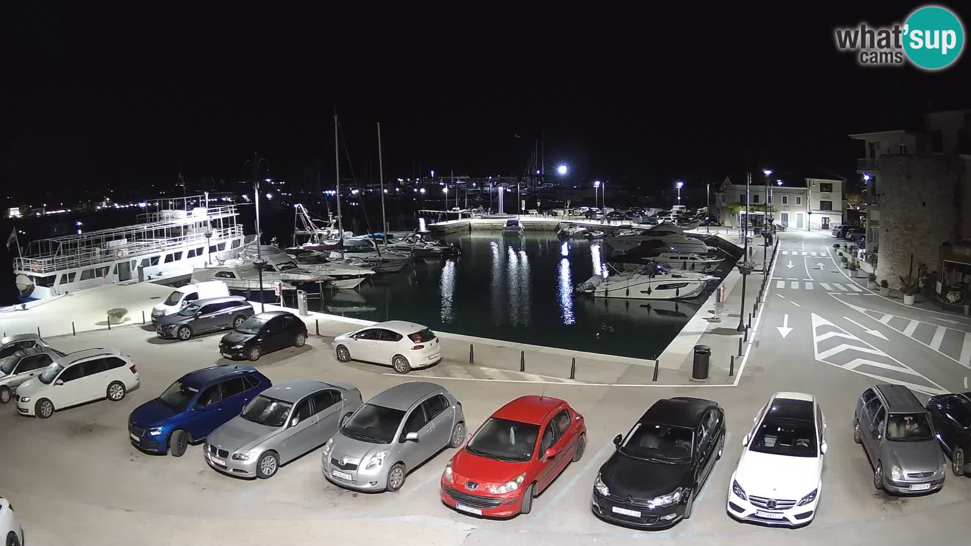 Novigrad | Porporela marina