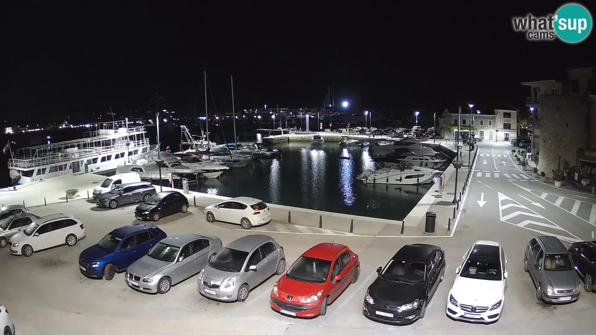 Novigrad | Porporela marina