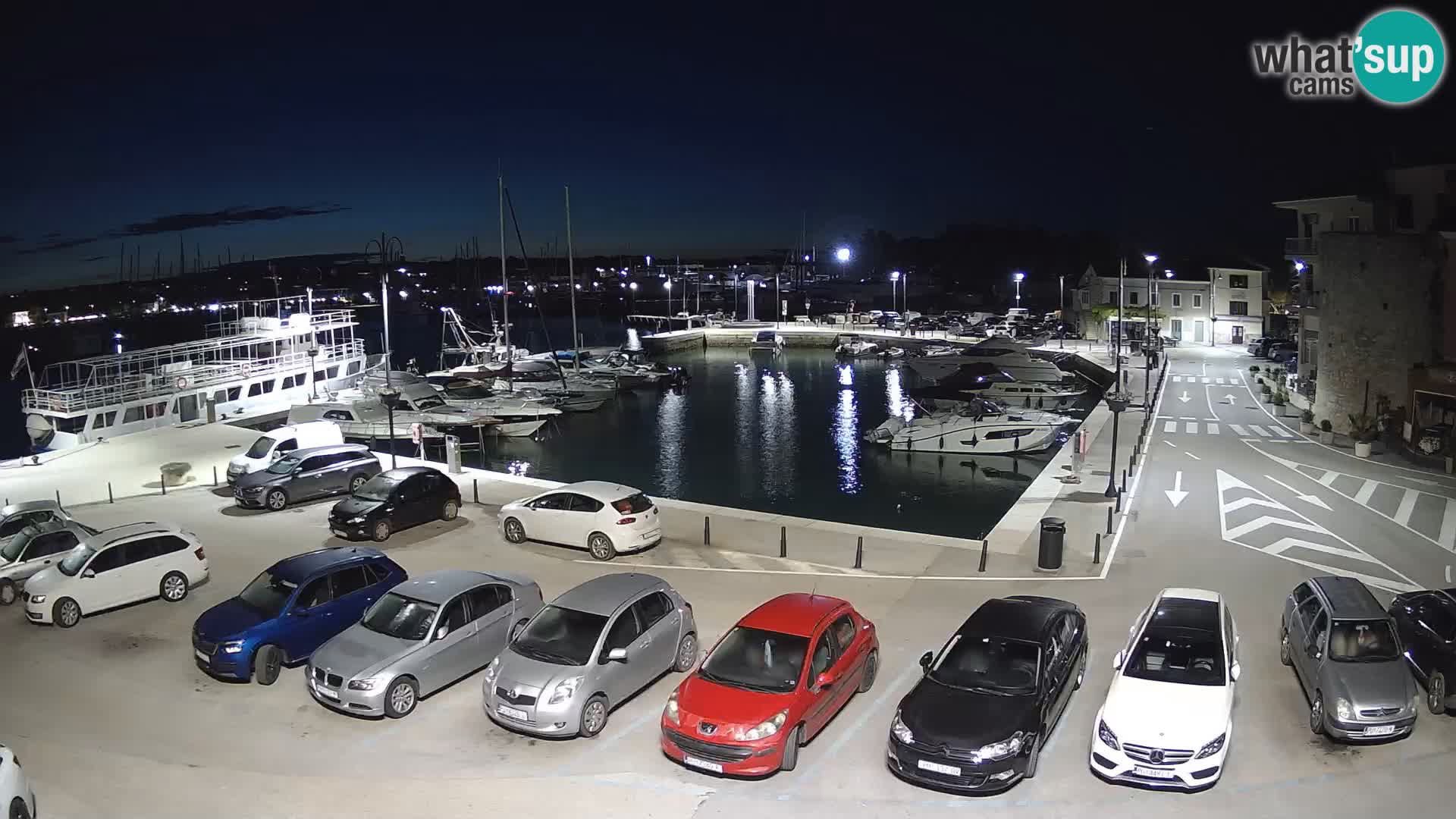 Novigrad | Porporela marina