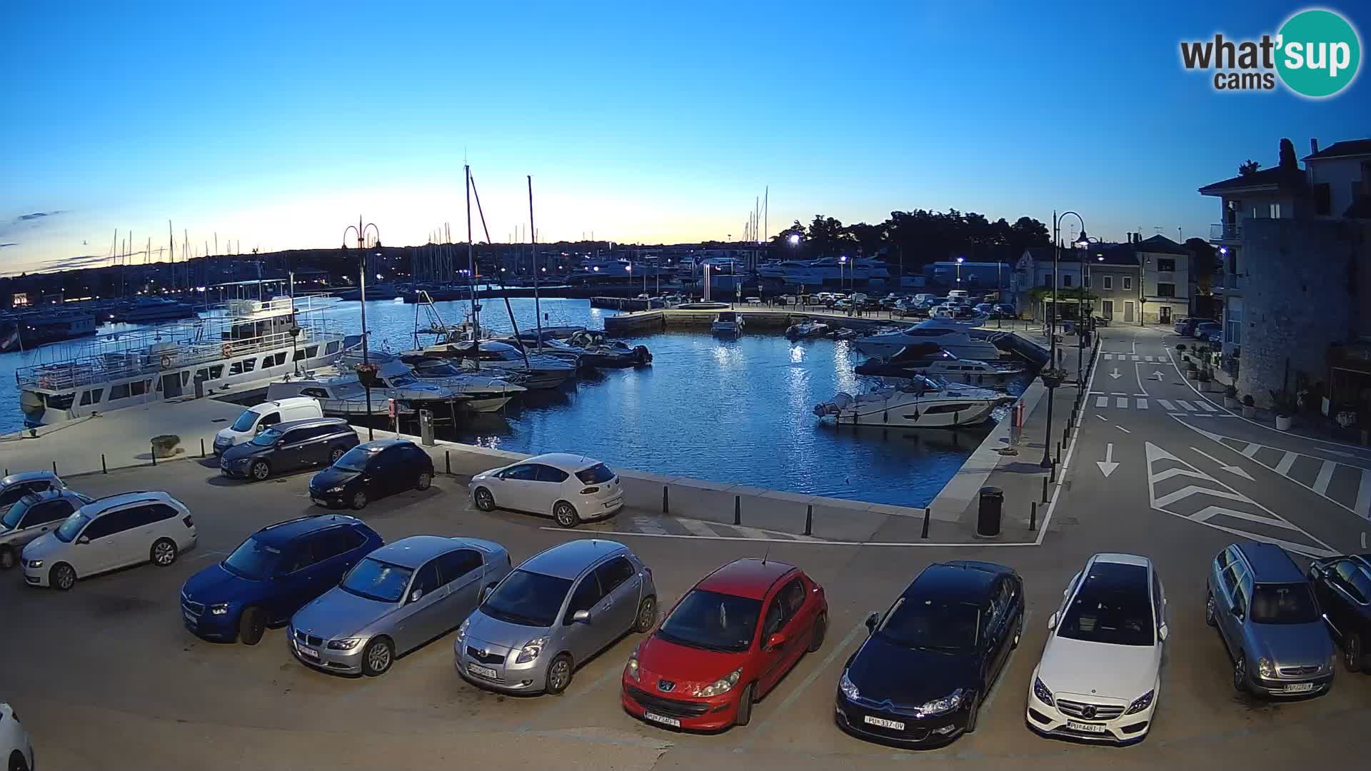 Novigrad | Porporela marina