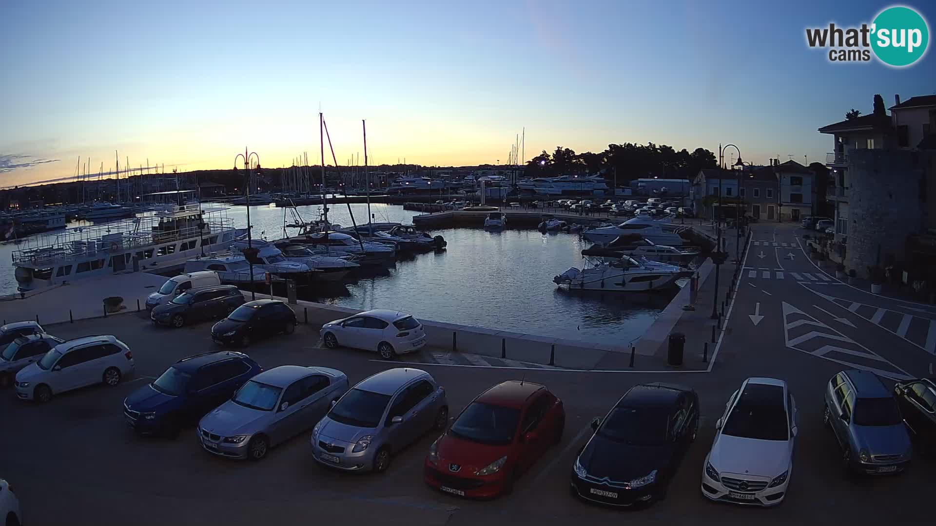 Novigrad | Porporela marina