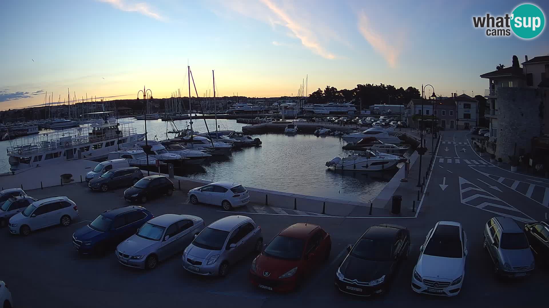 Novigrad | Porporela marina