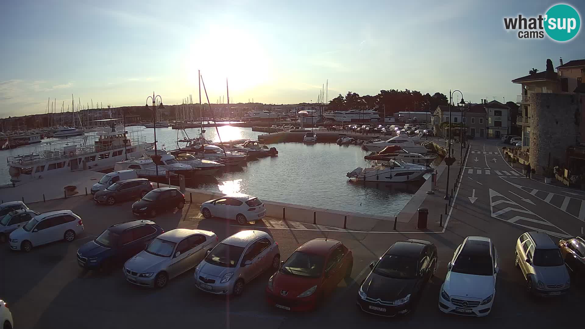 Novigrad | Porporela marina