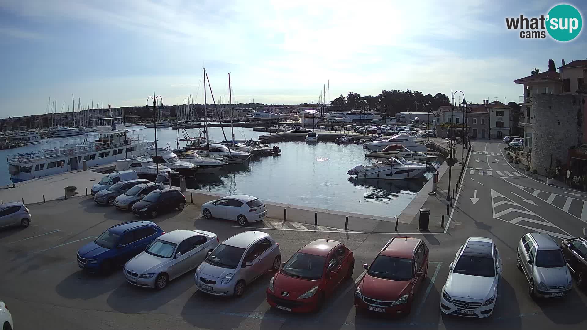 Novigrad | Porporela marina