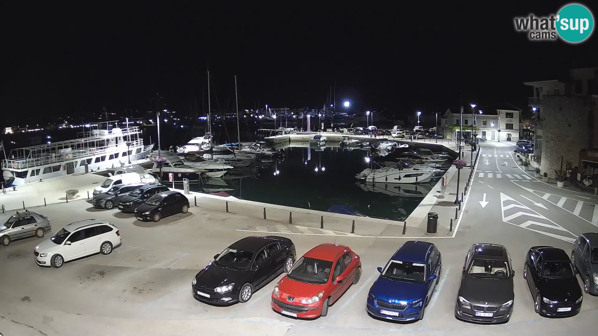 Novigrad | Porporela marina