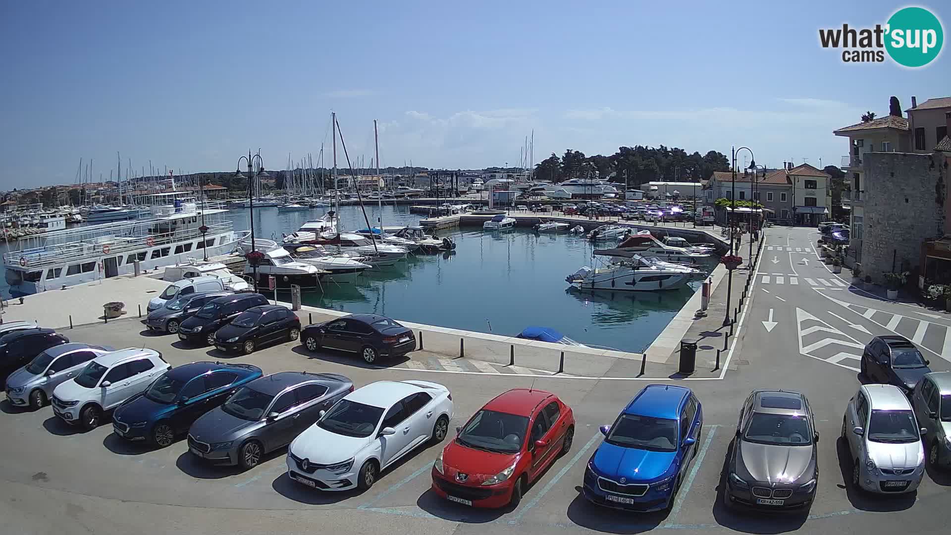 Novigrad | Porporela marina