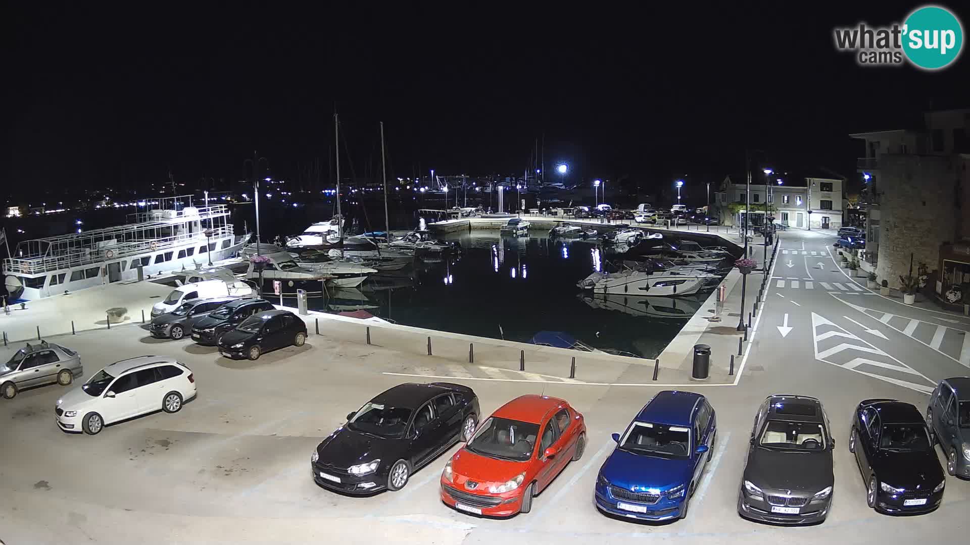 Novigrad | Porporela marina