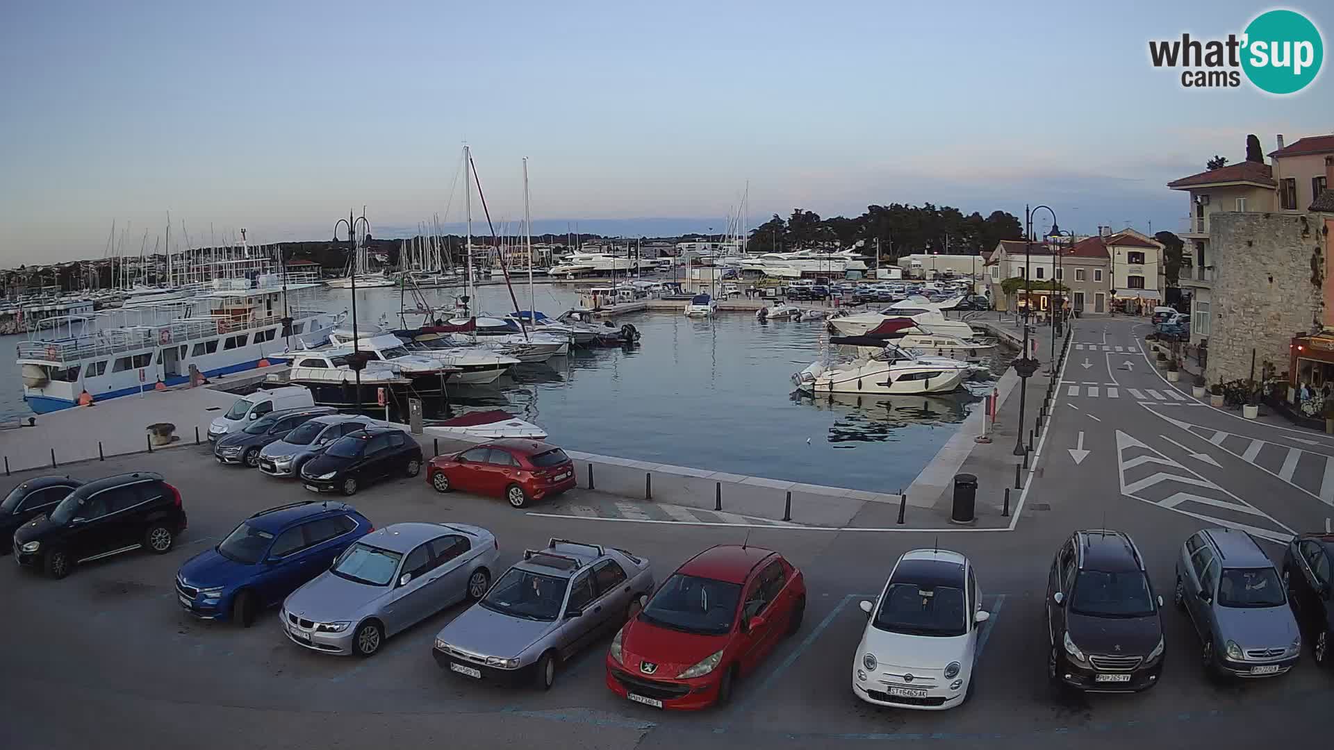 Novigrad | Porporela marina