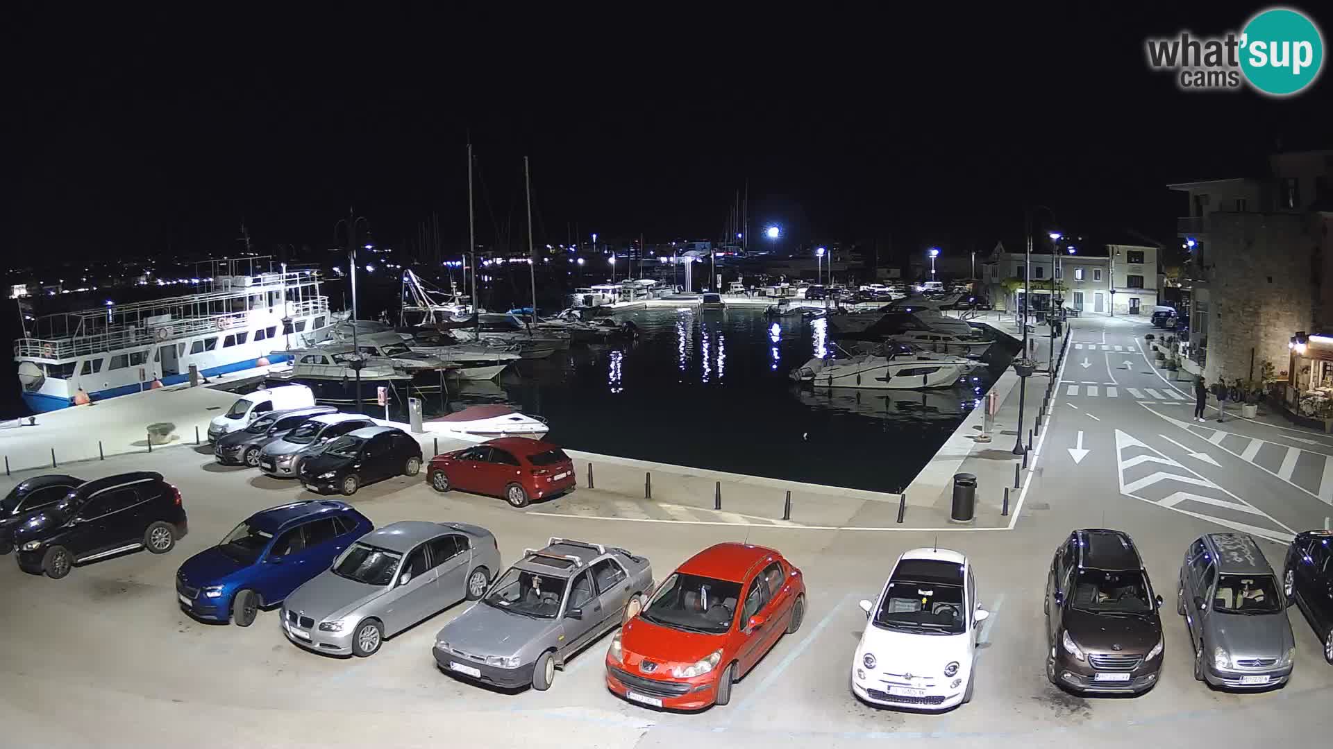 Novigrad | Porporela marina
