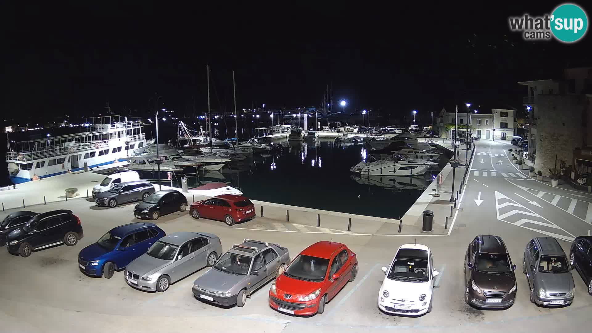 Novigrad | Porporela marina