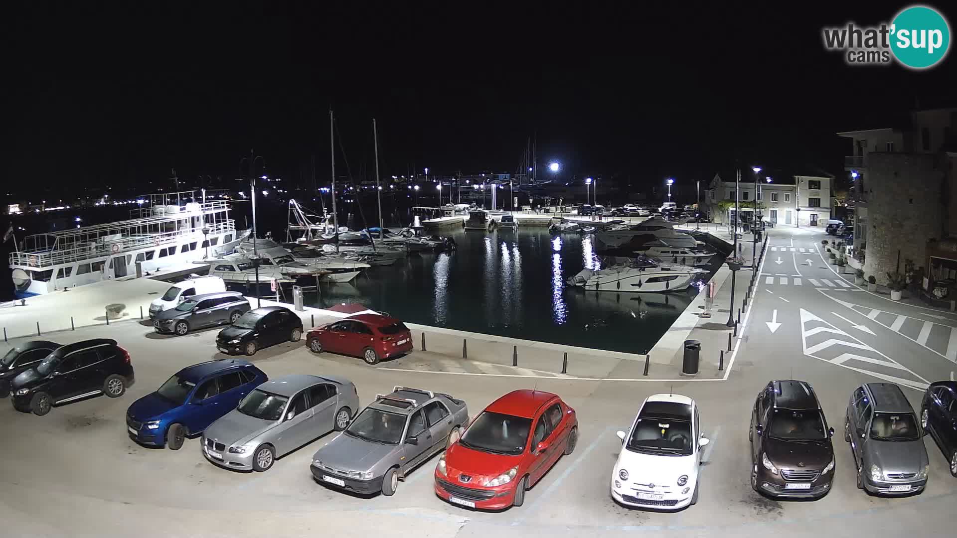 Novigrad | Porporela marina