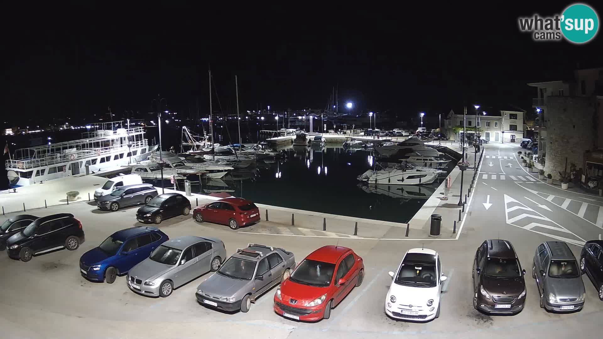 Novigrad | Porporela marina
