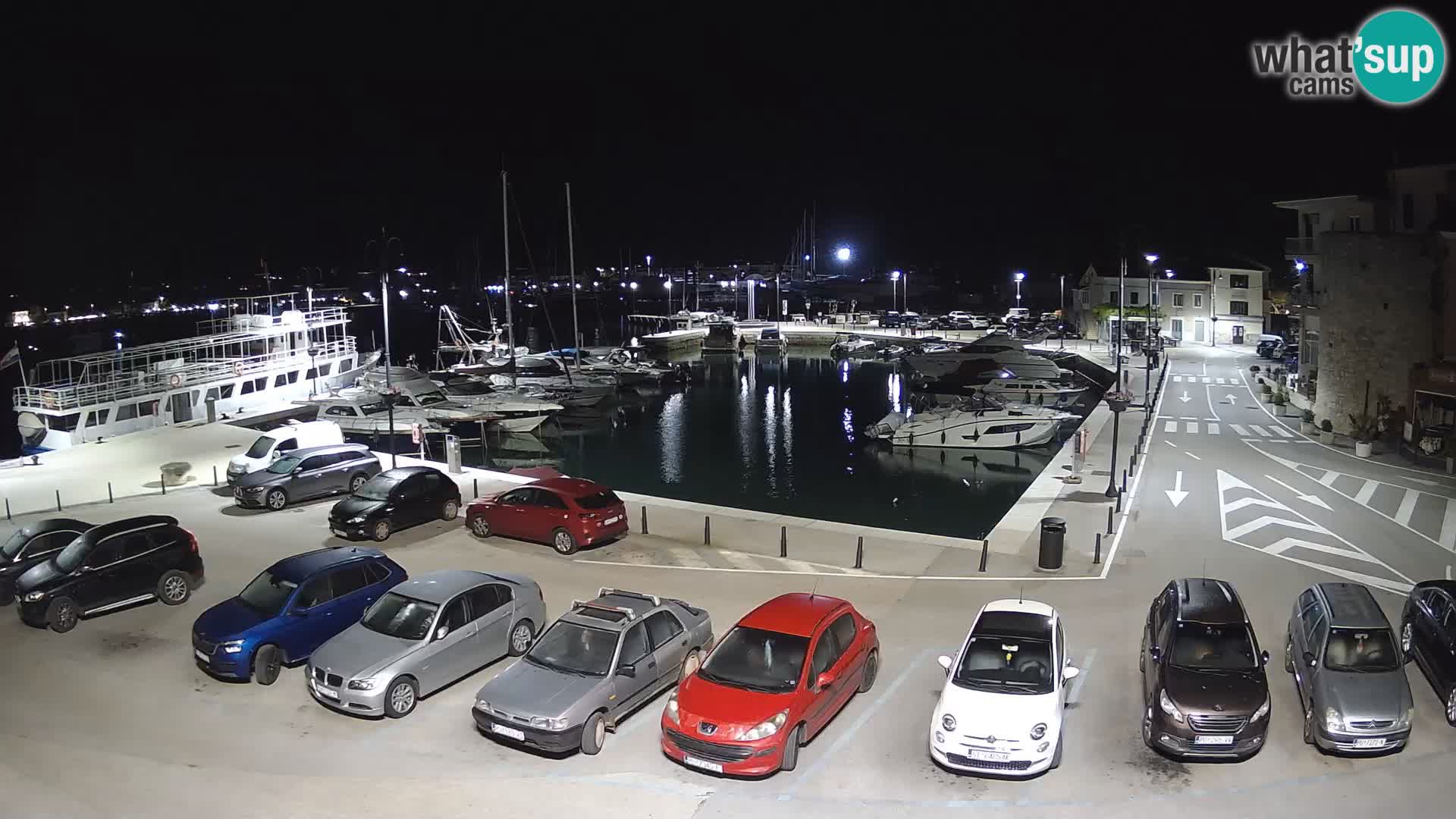 Novigrad | Porporela marina