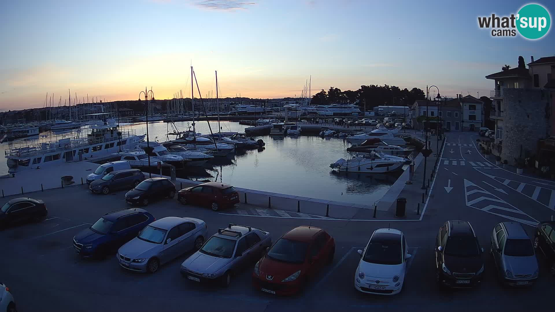 Novigrad | Porporela marina