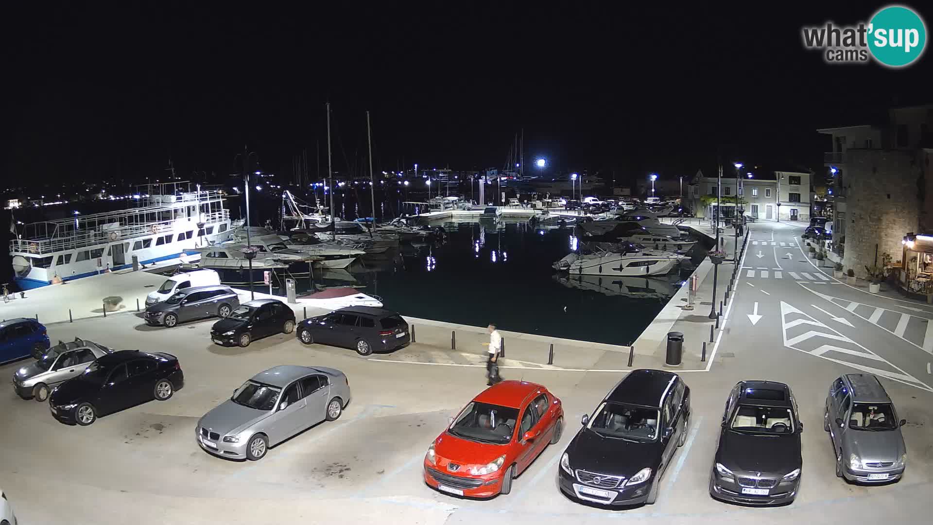 Novigrad | Porporela marina