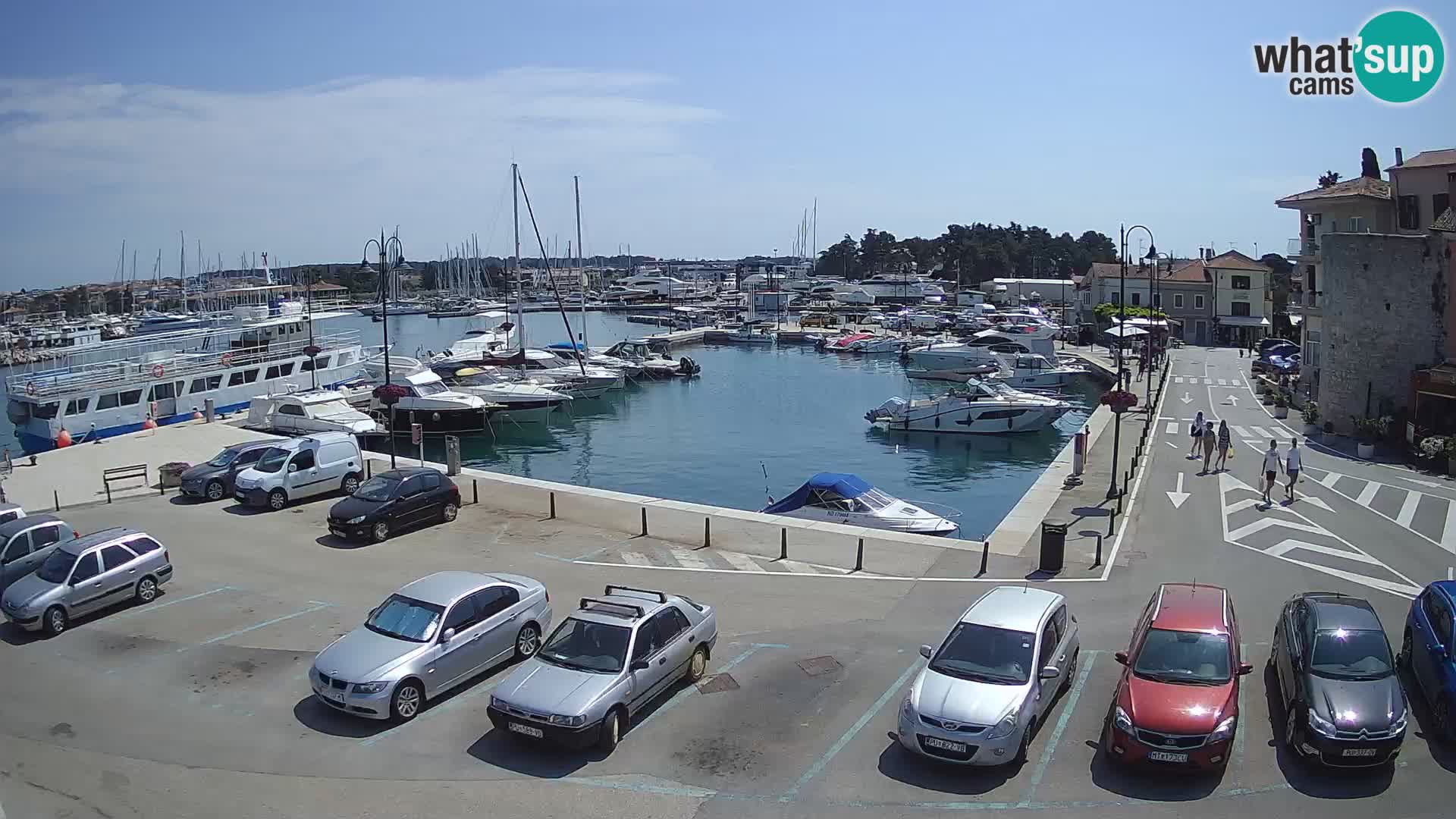 Novigrad | Porporela marina