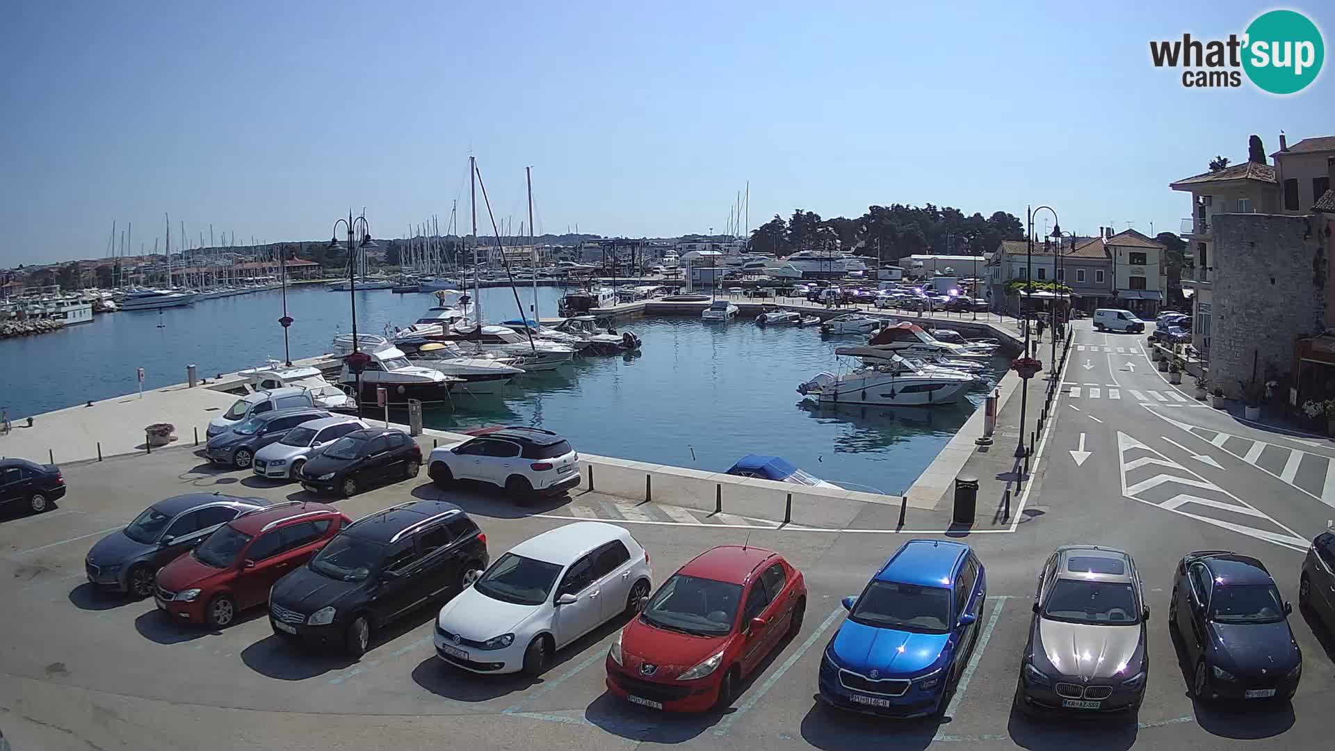 Novigrad | Porporela marina