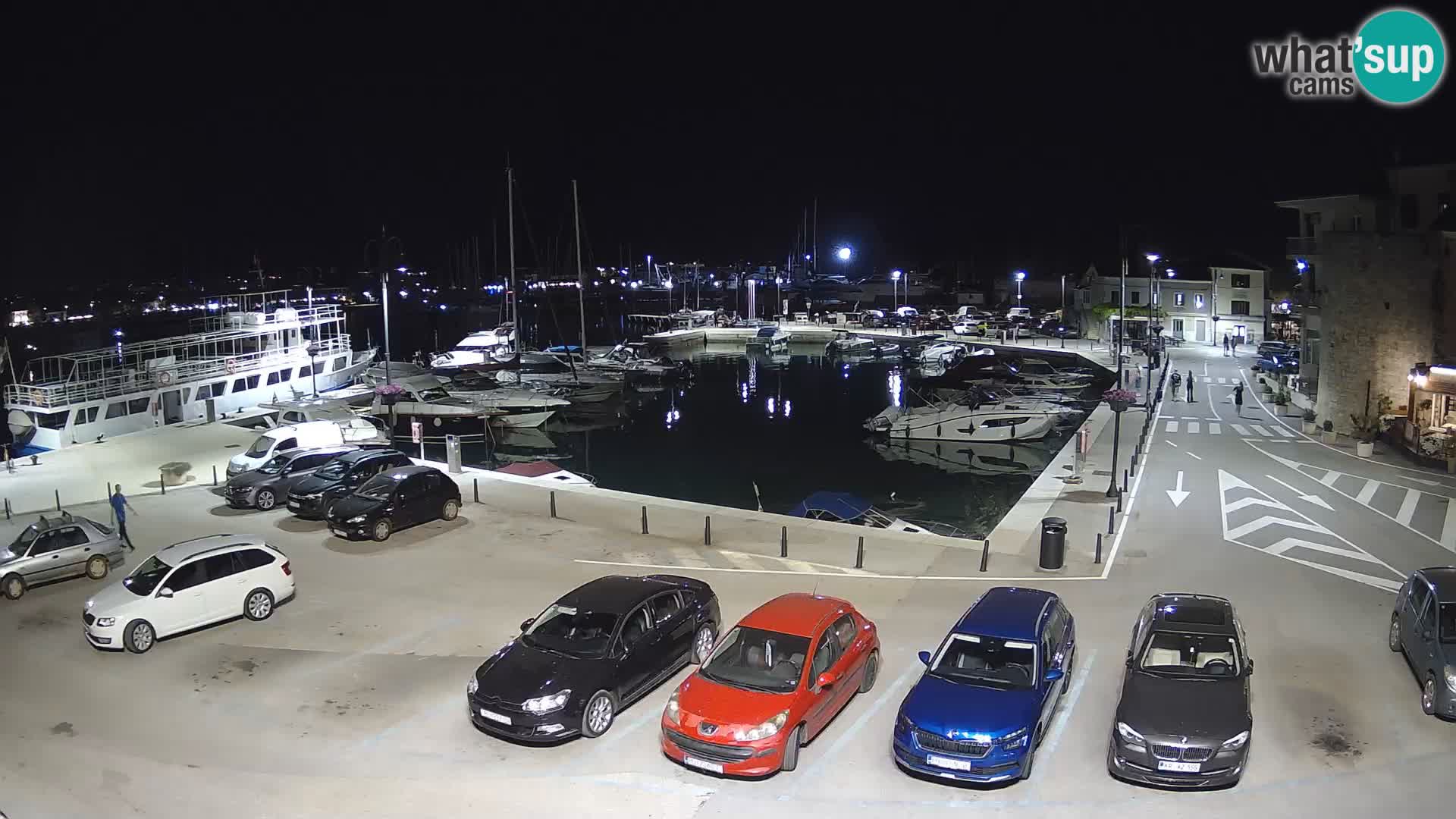 Novigrad | Porporela marina